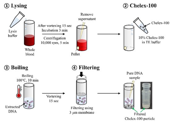 Development Of A Simple Dna Extraction