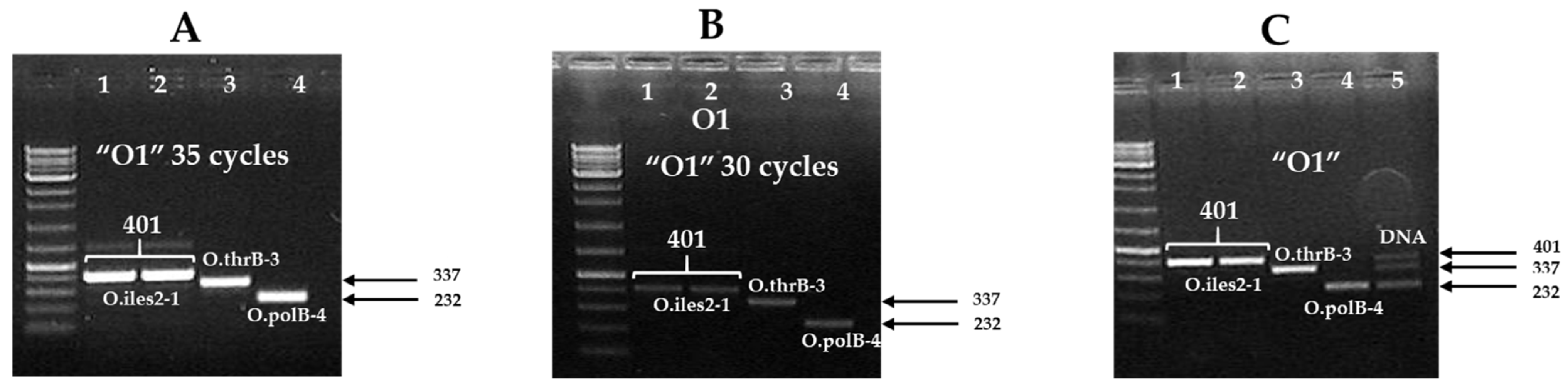 Pathogens 11 00115 g003 550