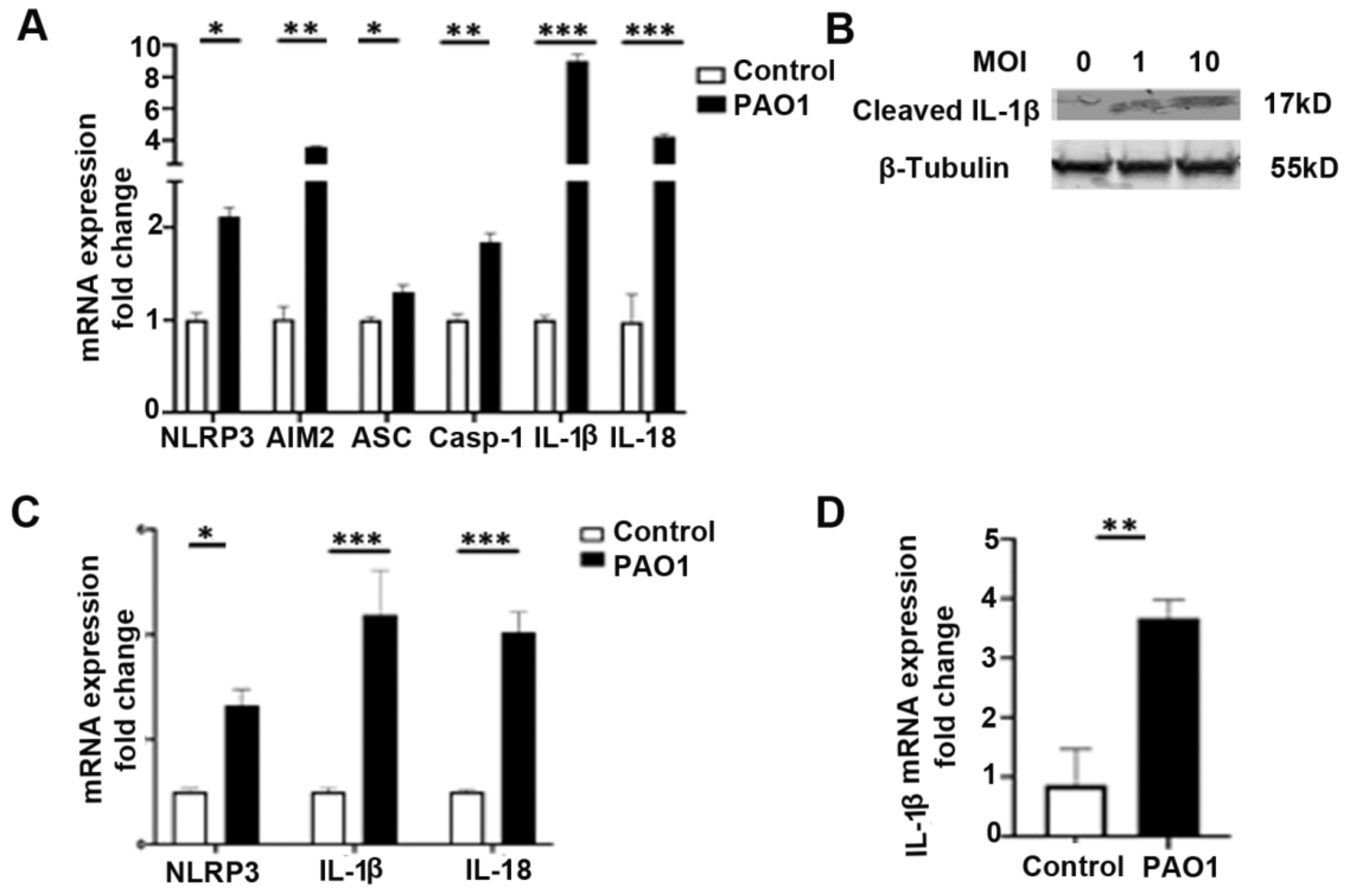 Pathogens 11 00116 g001