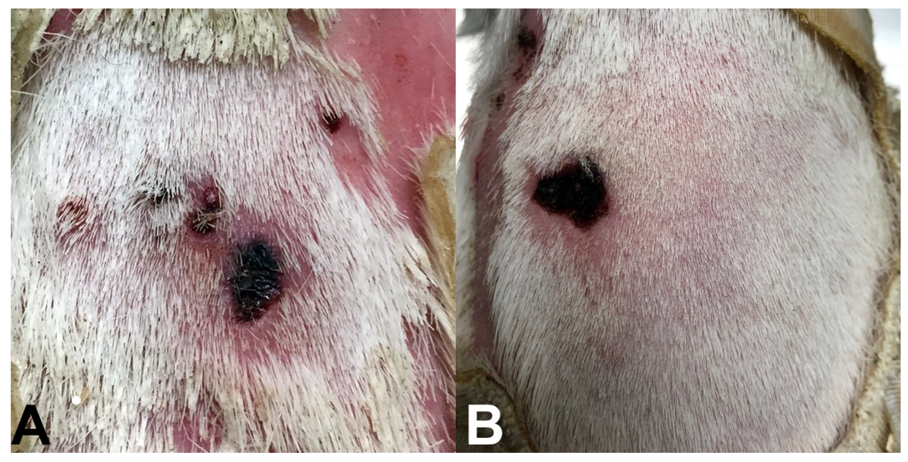 Pathogens 11 00119 g002
