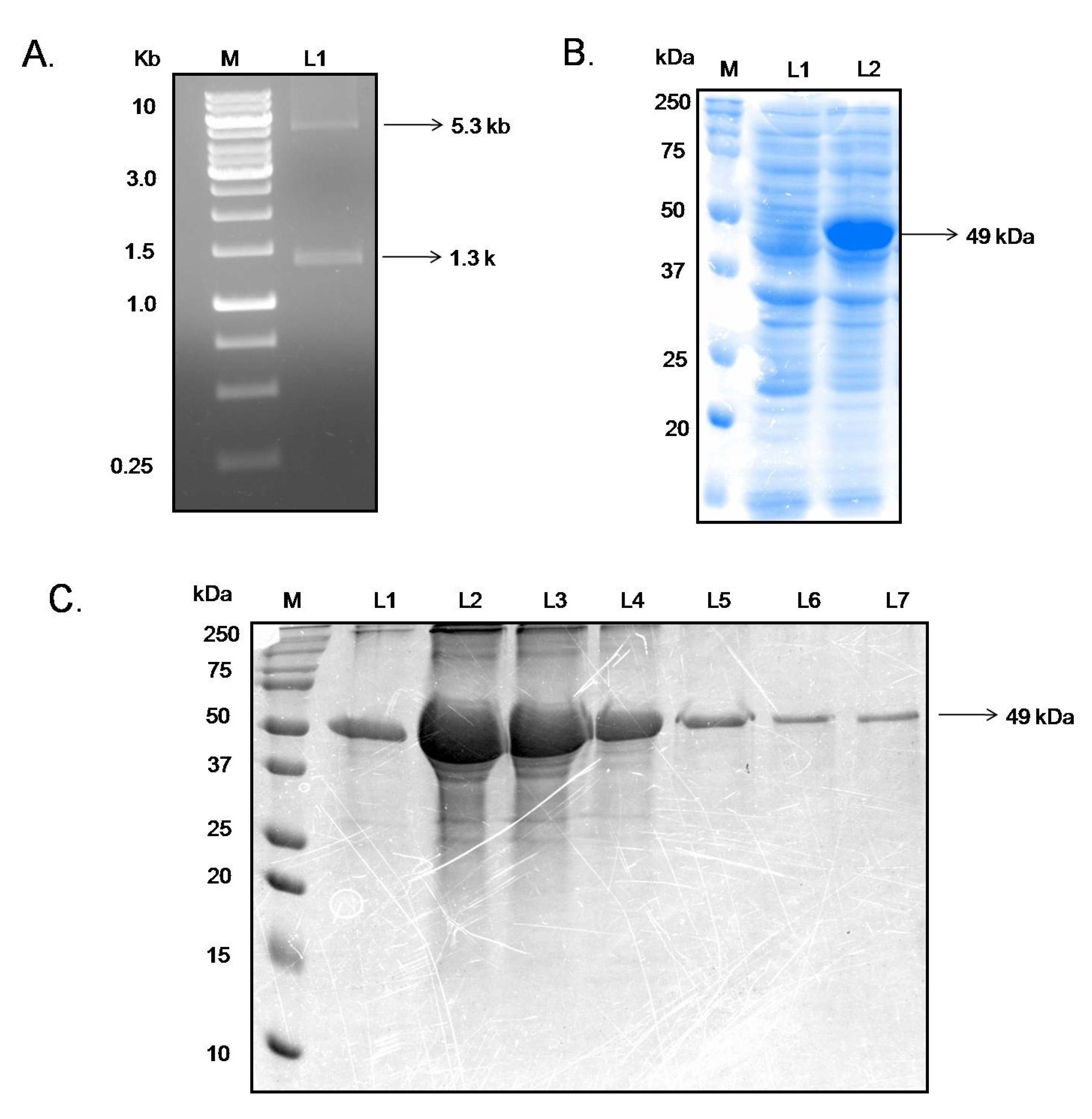 Pathogens 11 00120 g002