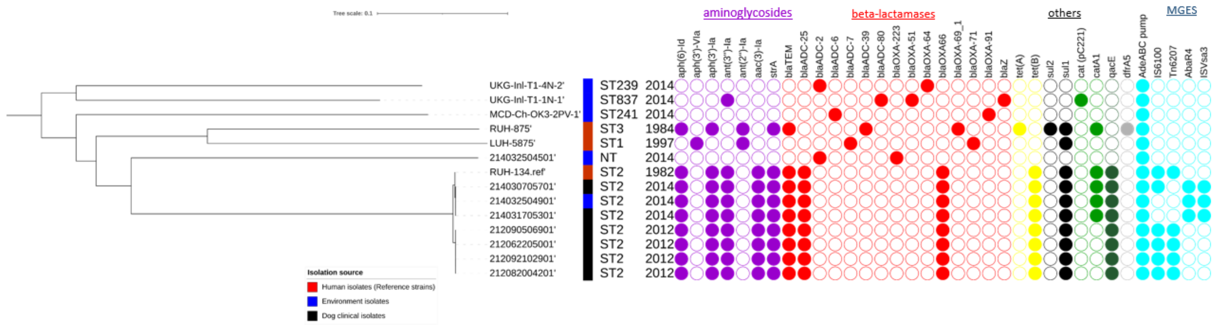 Pathogens 11 00123 g003 Pathogens 11 00123 g003