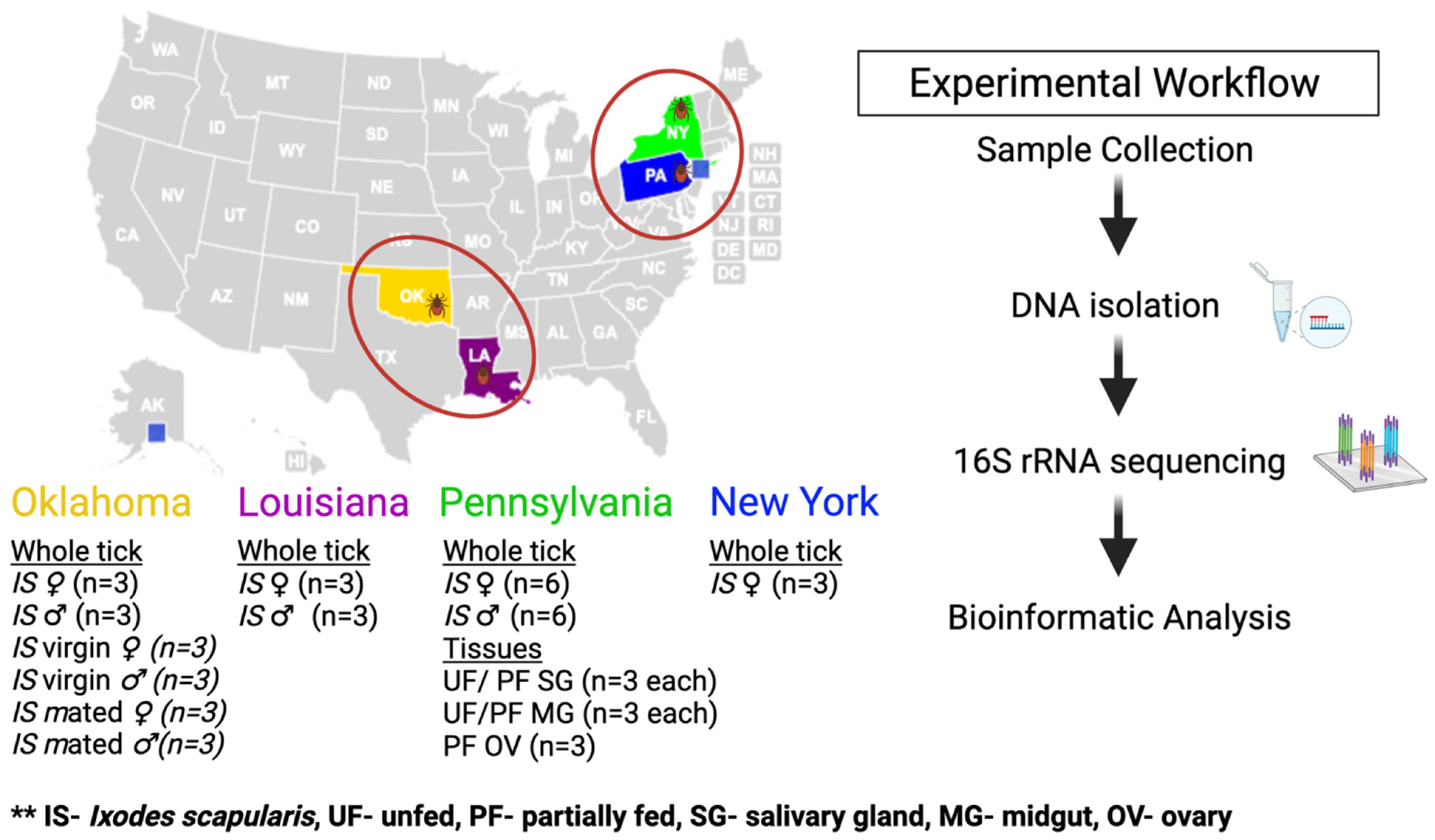 Pathogens 11 00130 g010
