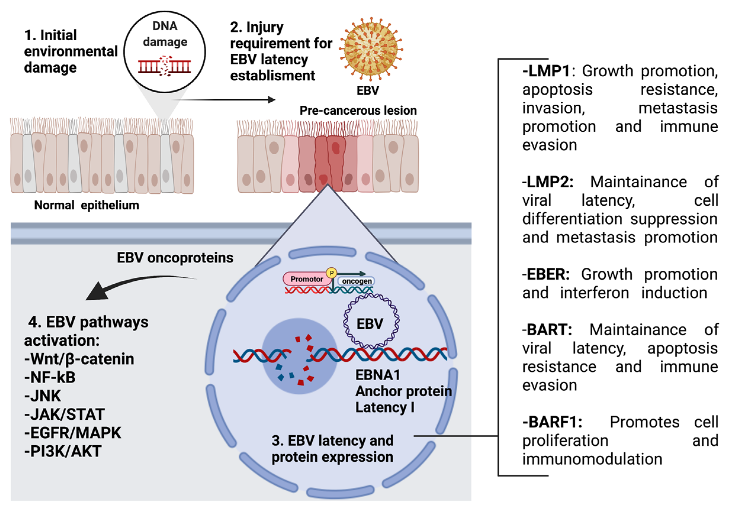 Pathogens 11 00132 g002