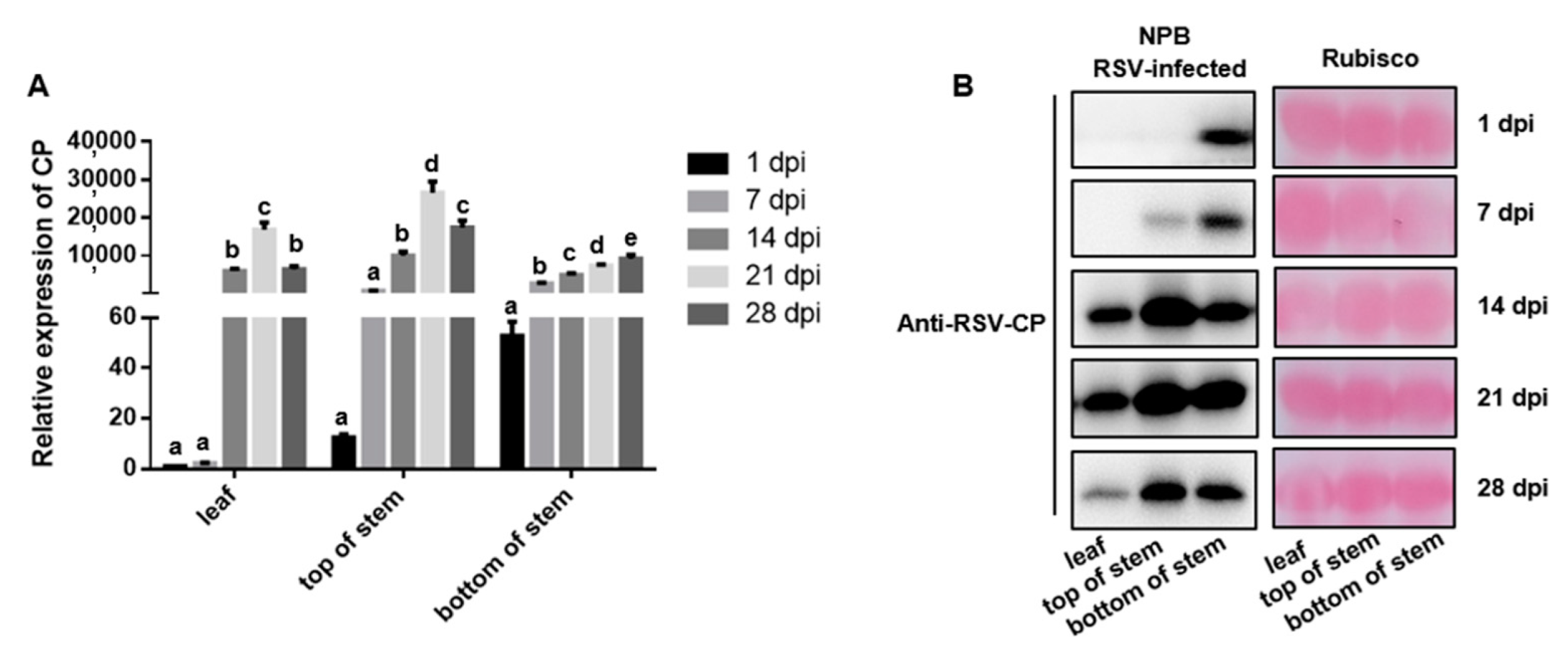 Pathogens 11 00144 g002