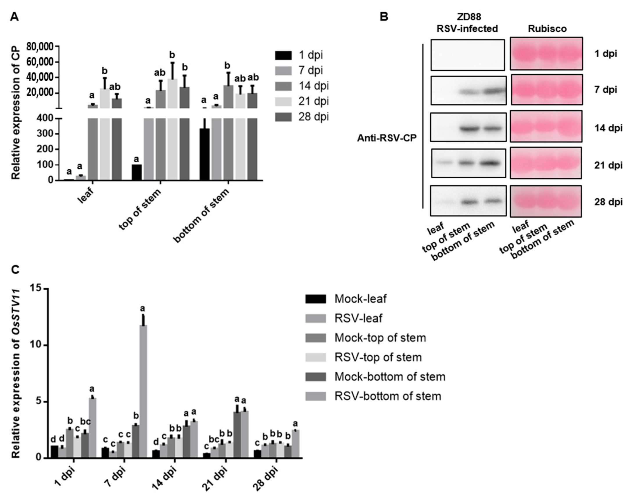 Pathogens 11 00144 g004