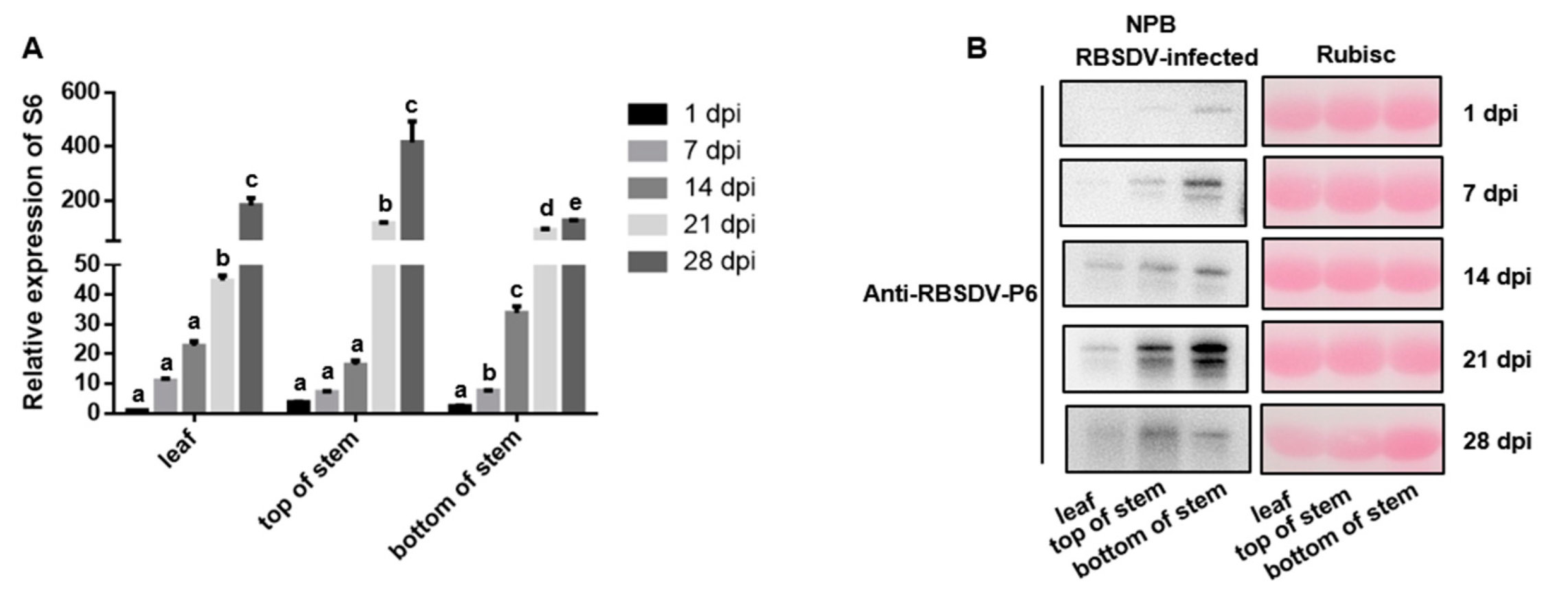 Pathogens 11 00144 g005
