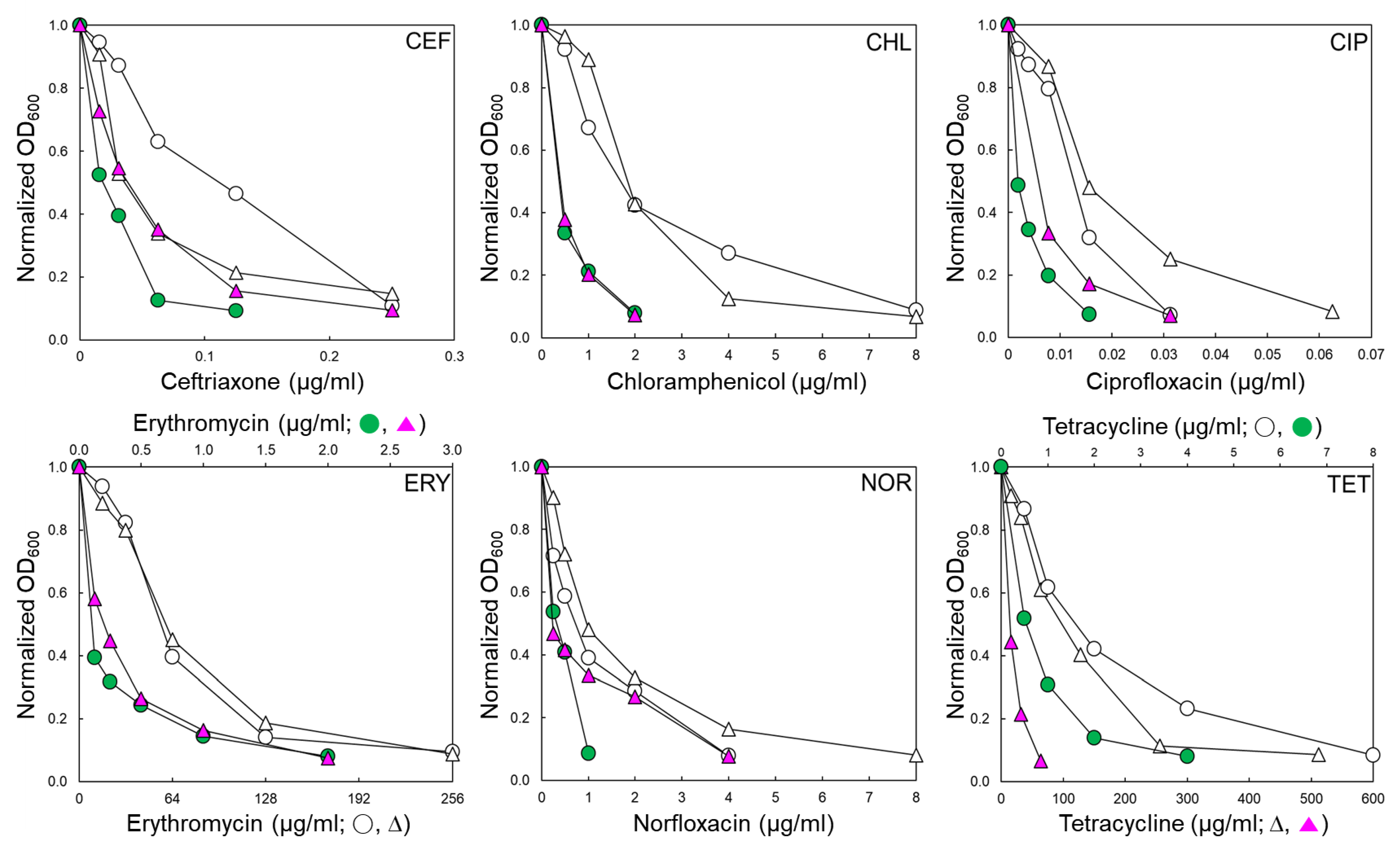 Pathogens 11 00147 g001