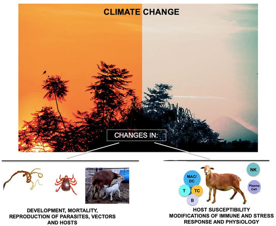 A Review of the Impact of Climate Change on the Epidemiology of Gastrointestinal Nematode Infections in Small Ruminants and Wildlife in Tropical Conditions