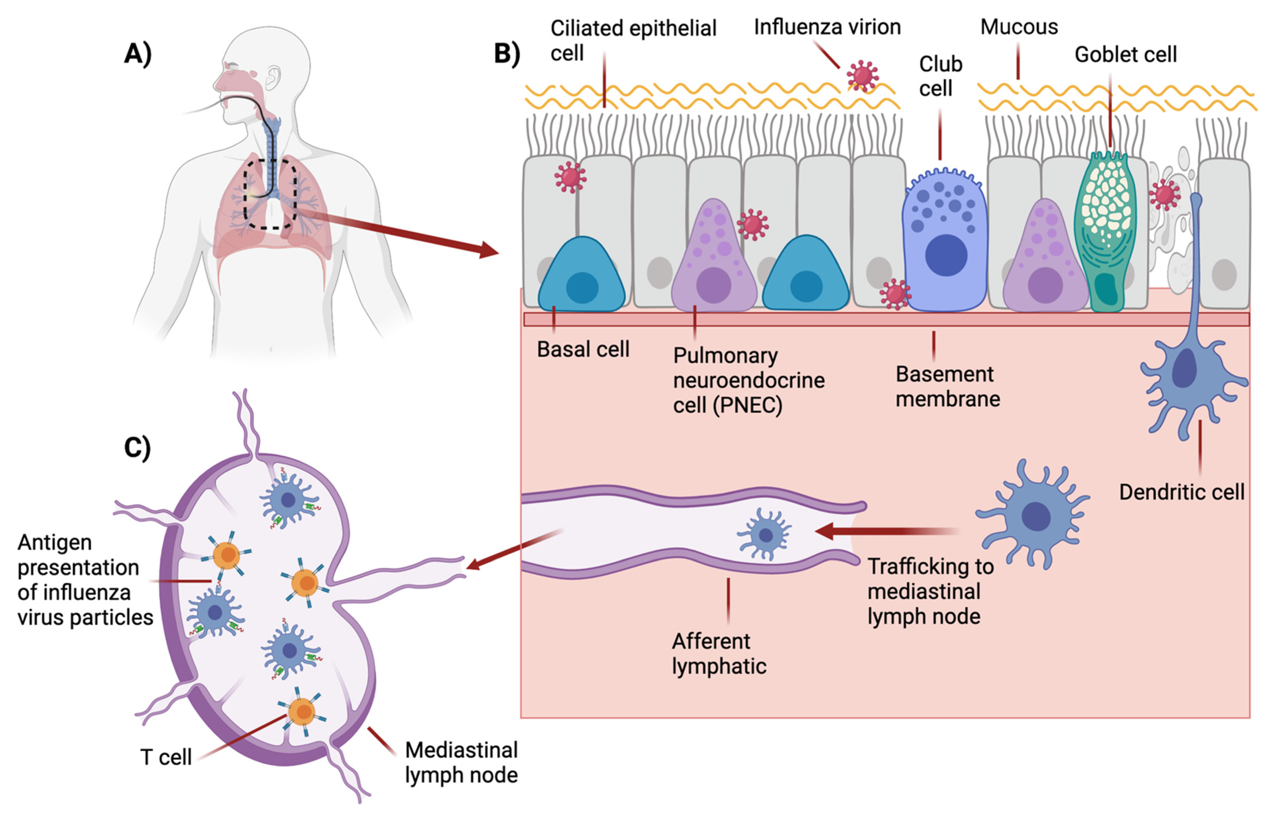 Pathogens 11 00150 g001