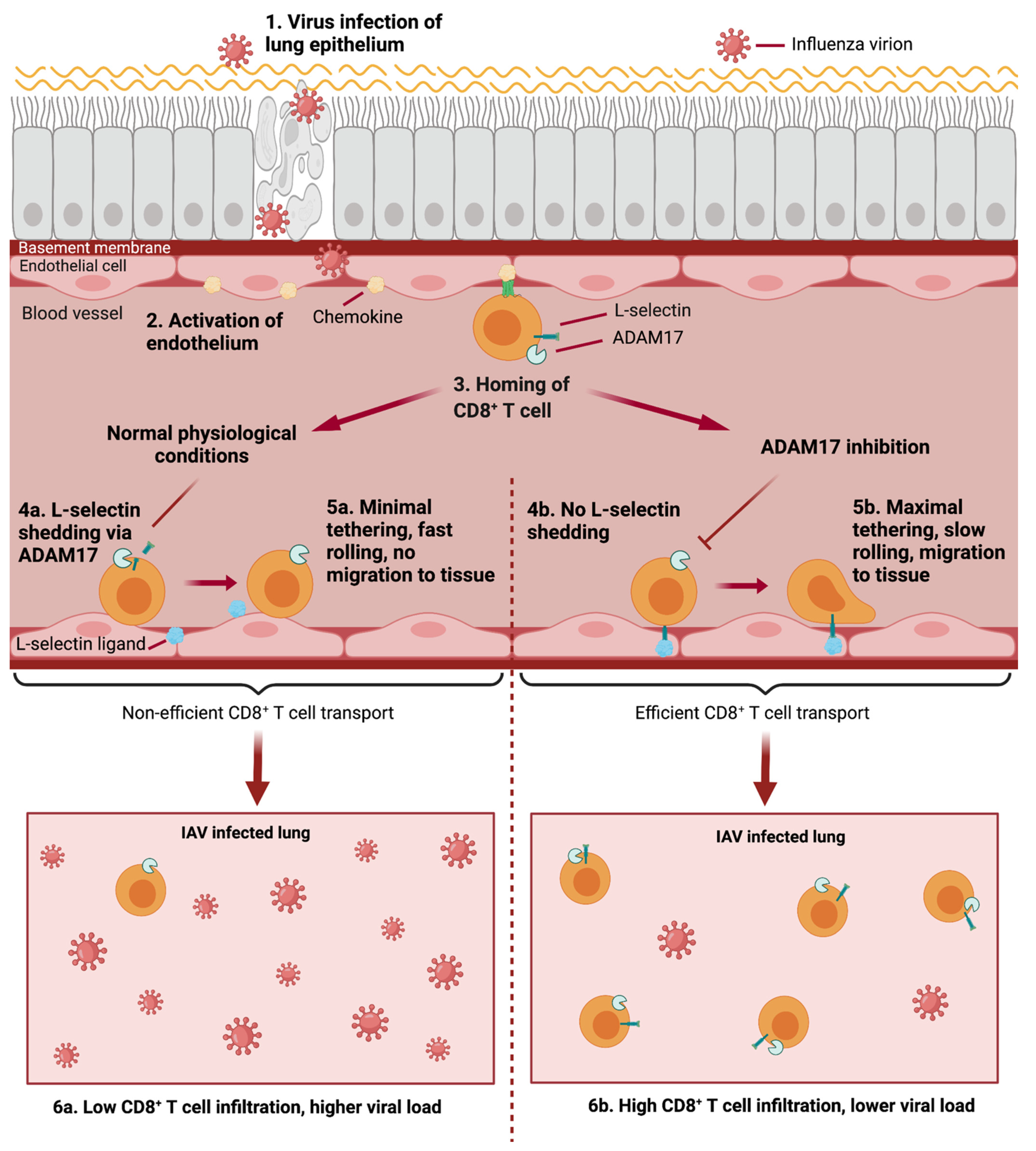 Pathogens 11 00150 g005