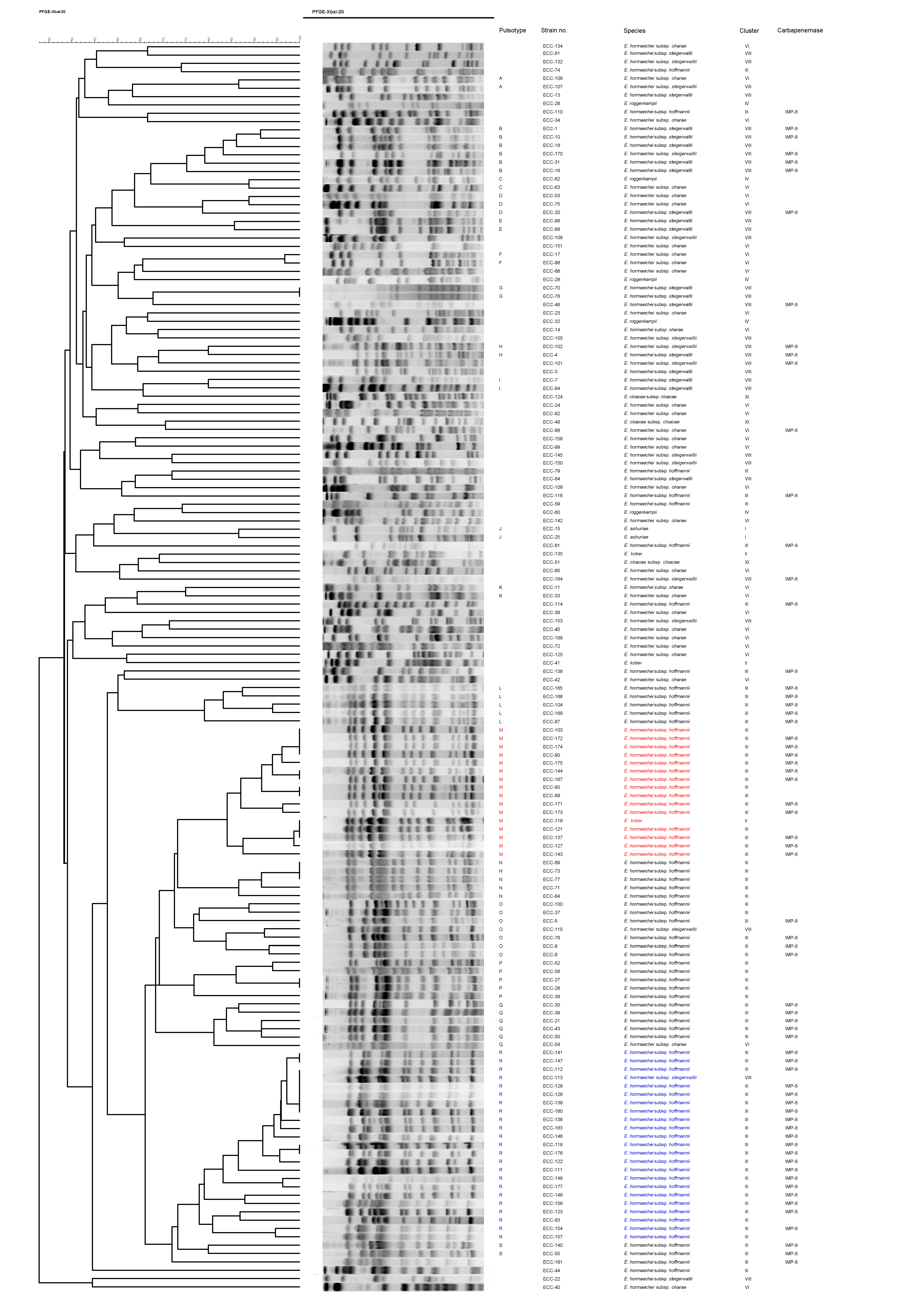 Pathogens 11 00151 g001