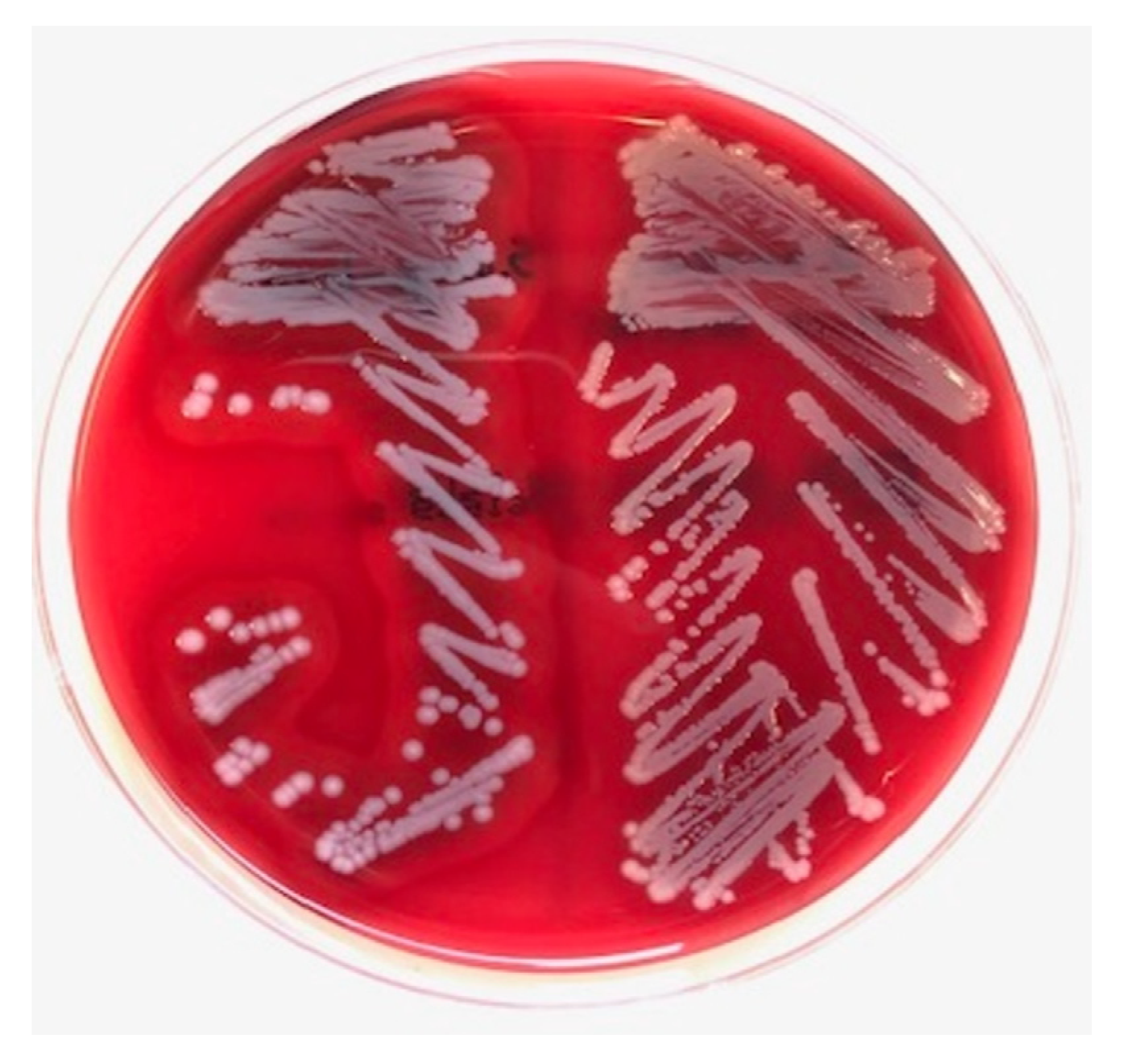 Pathogens 11 00153 g001