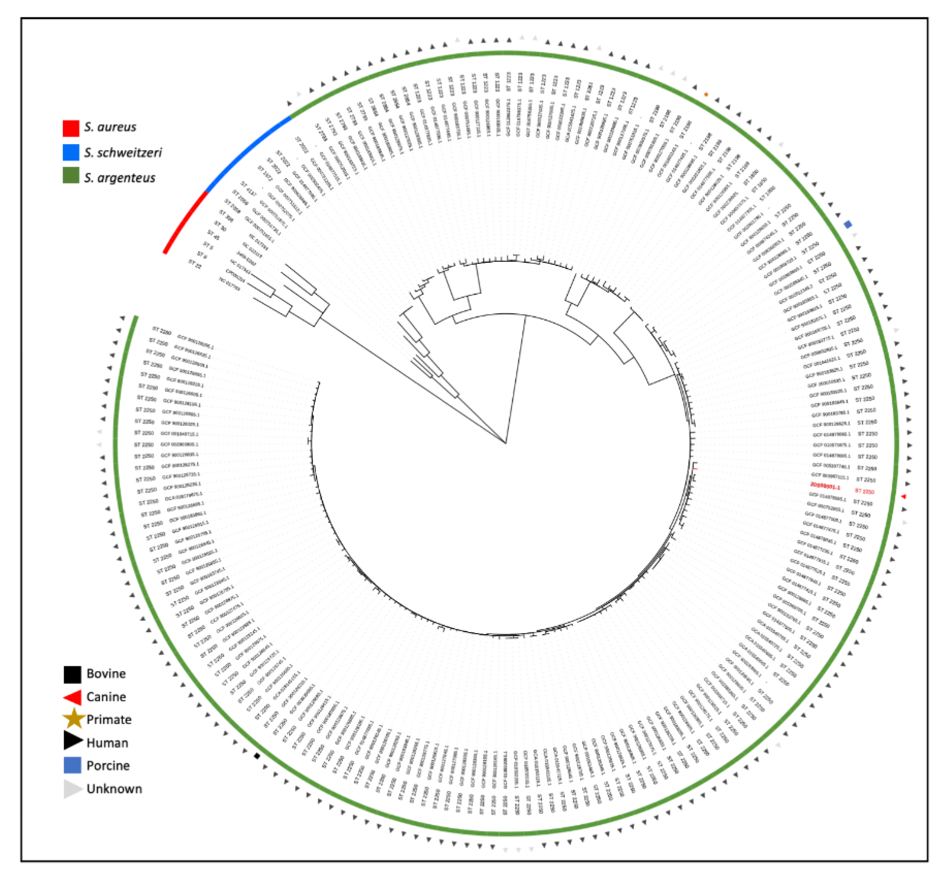 Pathogens 11 00153 g002