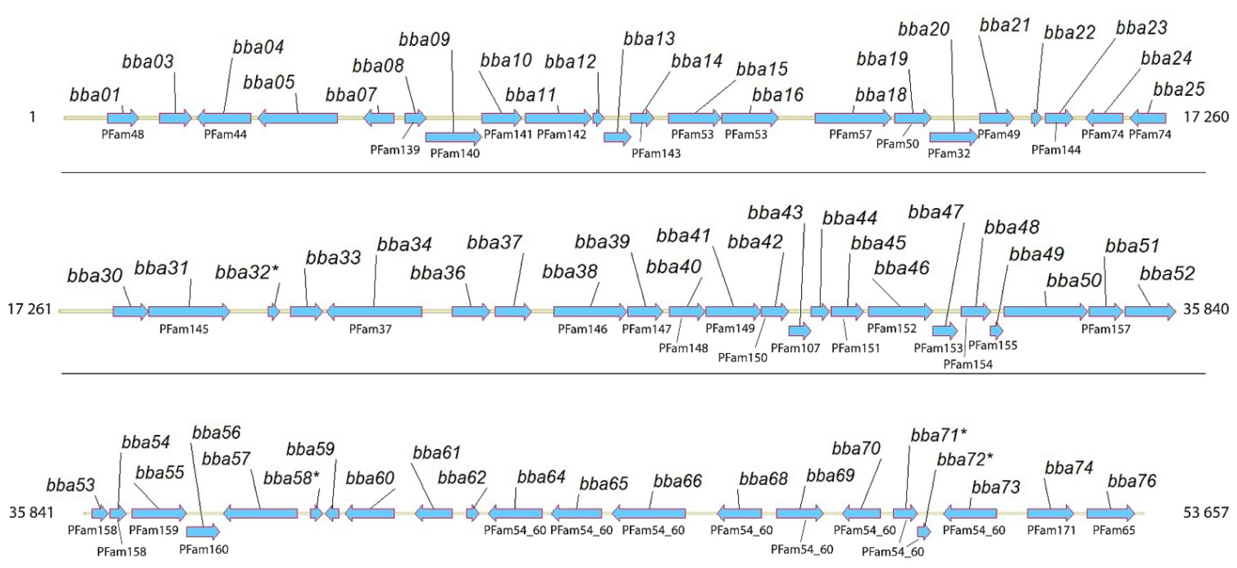 Pathogens 11 00154 g002