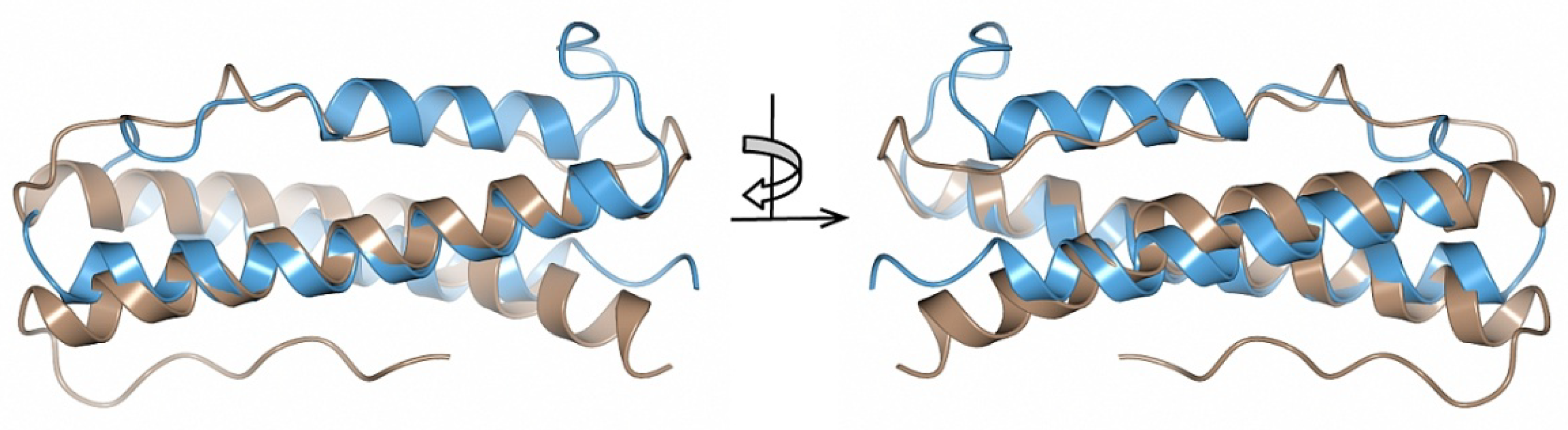 Pathogens 11 00154 g004