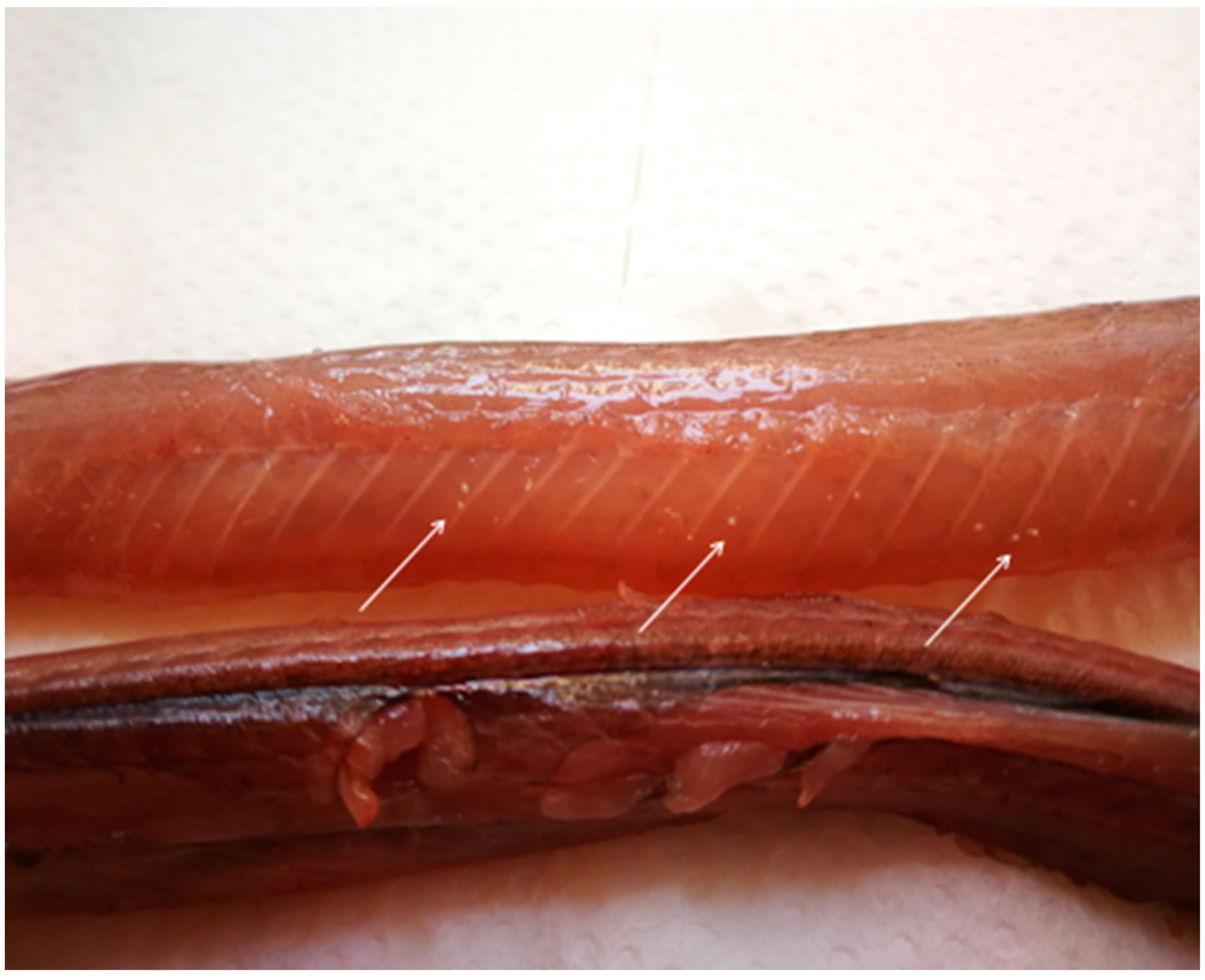 Pathogens 11 00156 g005 550