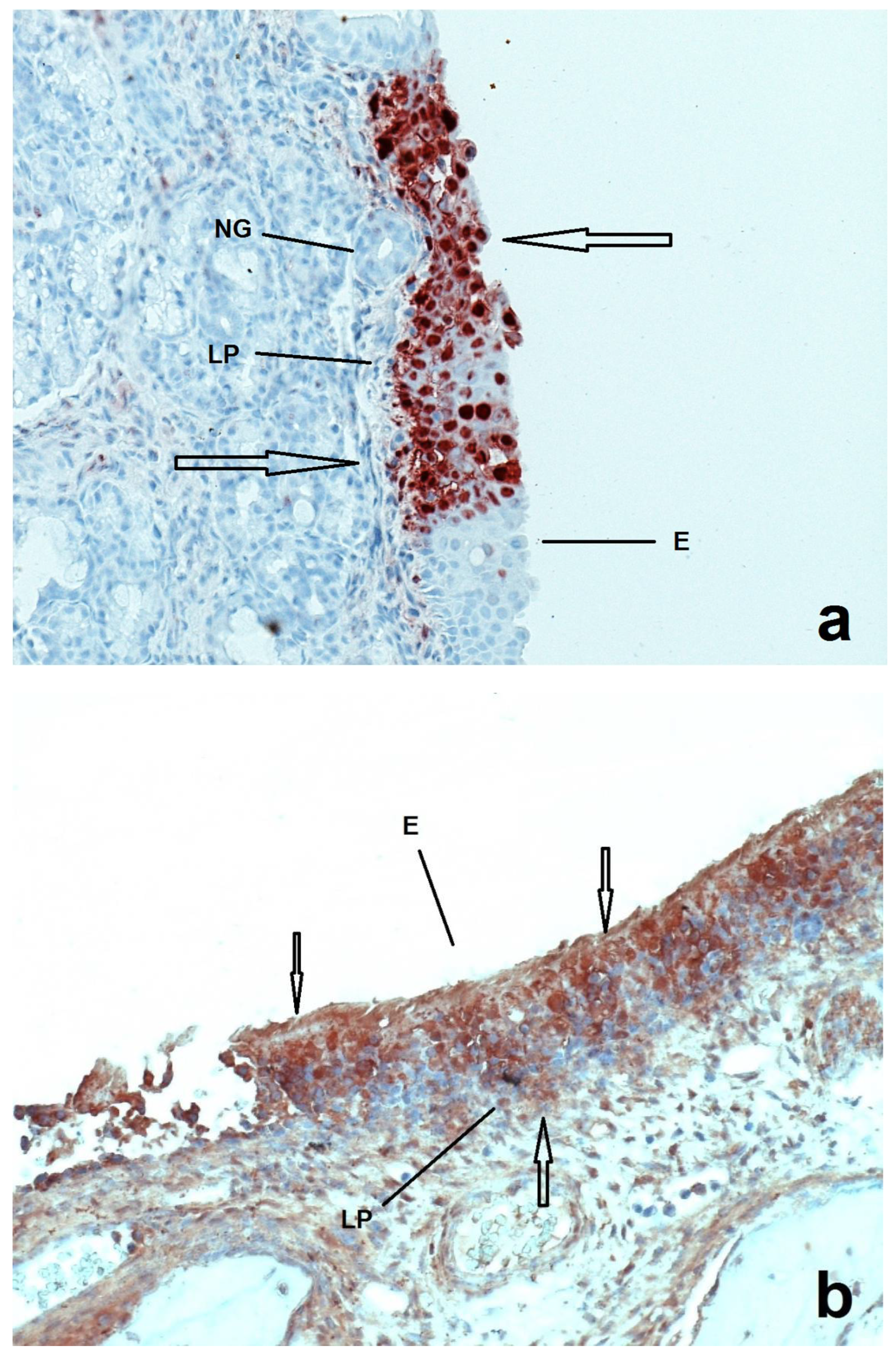 Pathogens 11 00157 g001