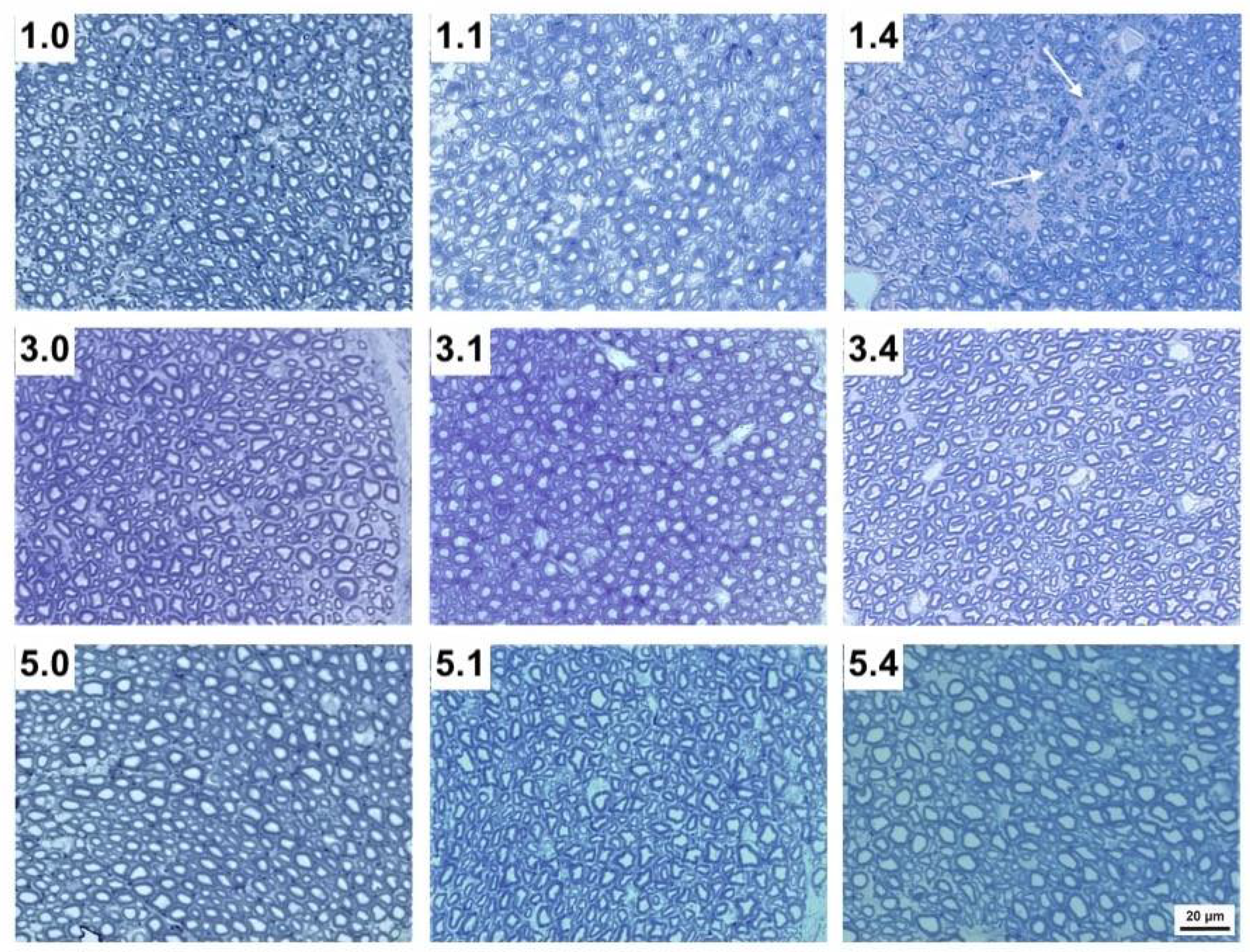 Pathogens 11 00157 g002