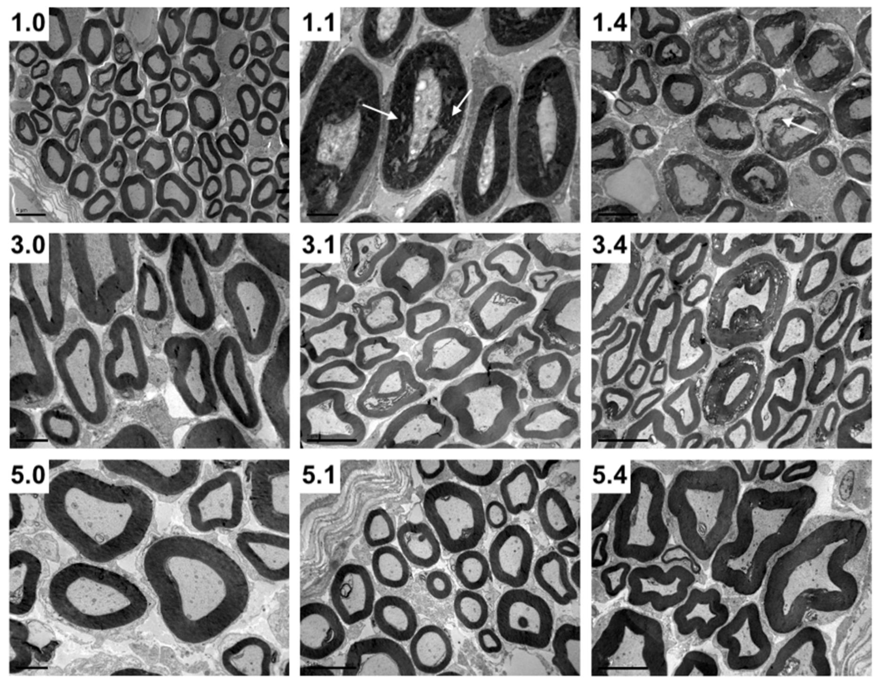 Pathogens 11 00157 g003