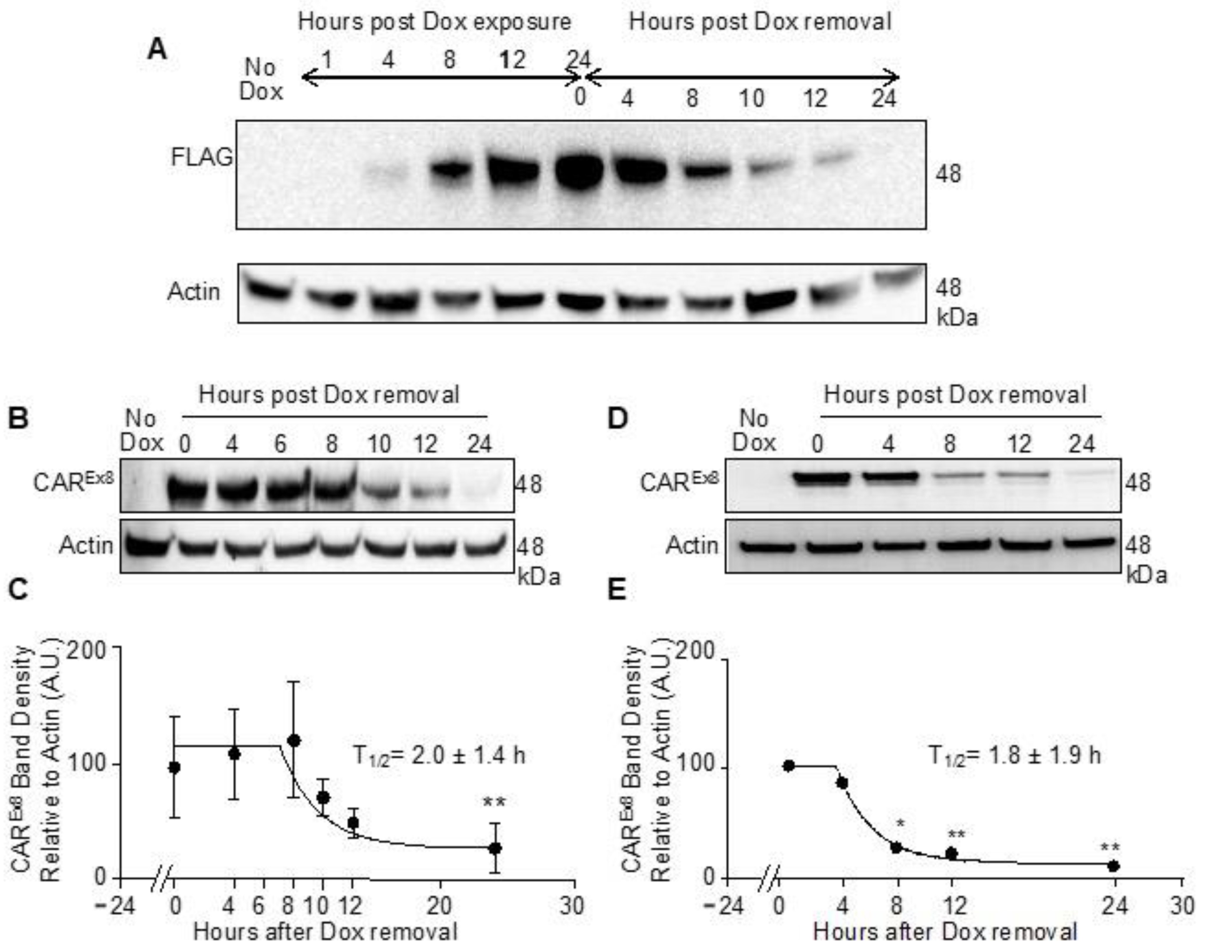 Pathogens 11 00173 g001