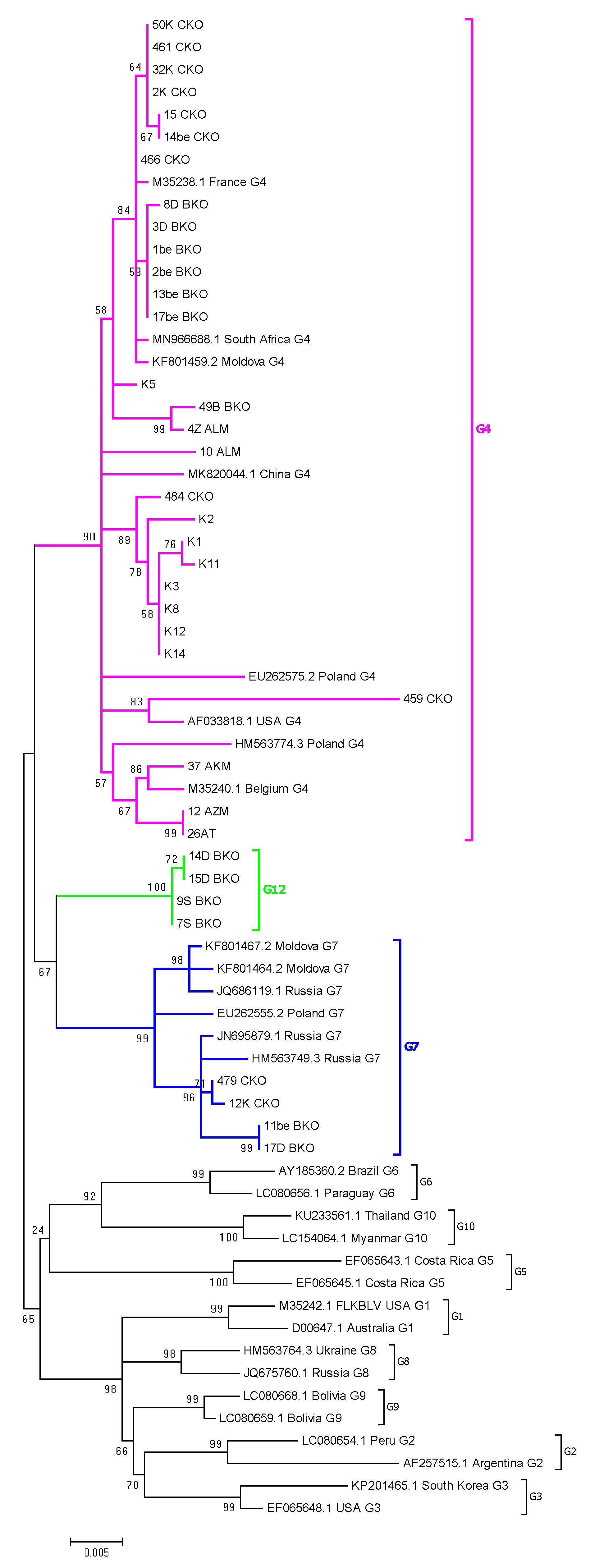 Pathogens 11 00180 g002 550
