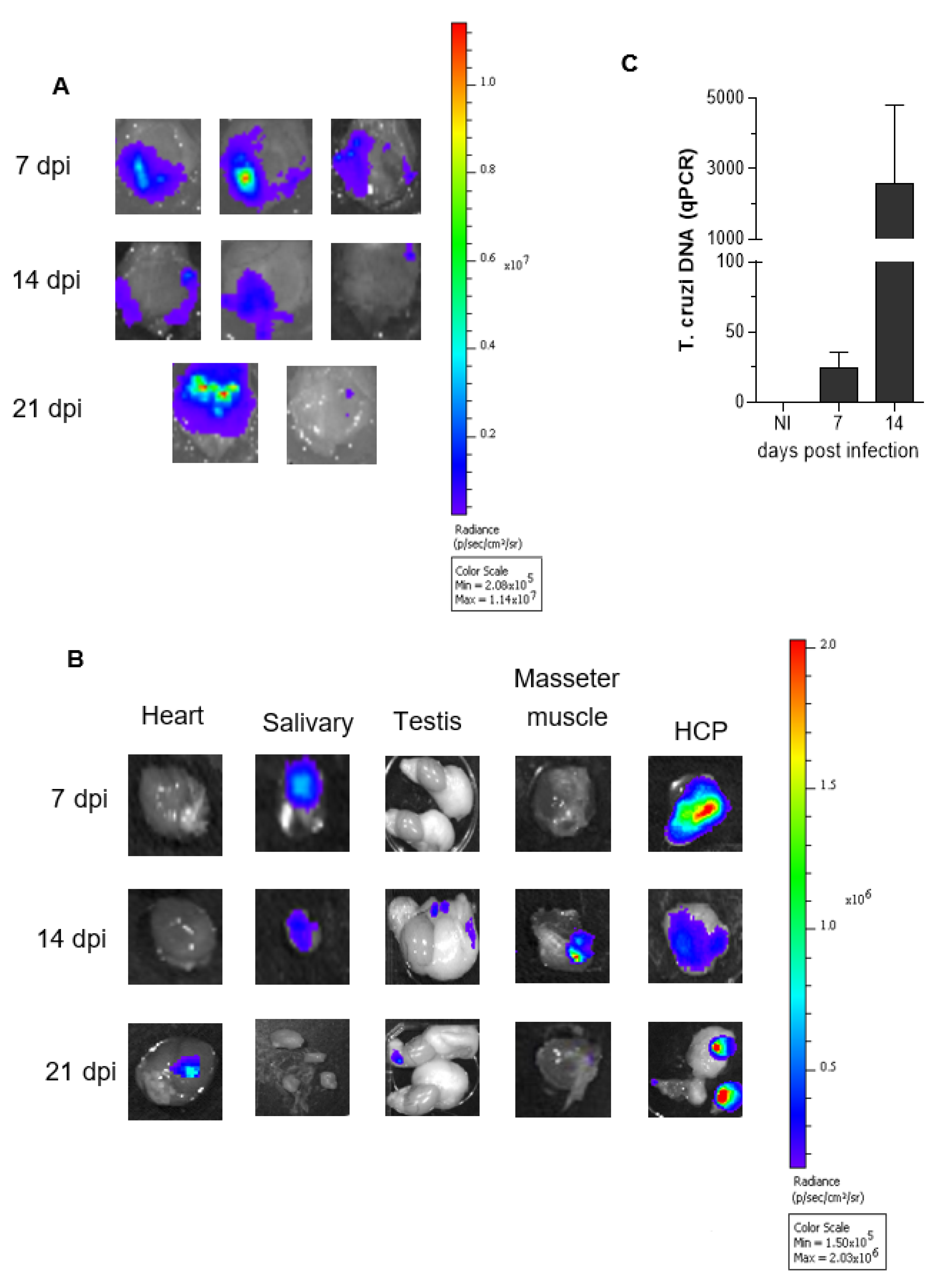Pathogens 11 00187 g003 Pathogens 11 00187 g003