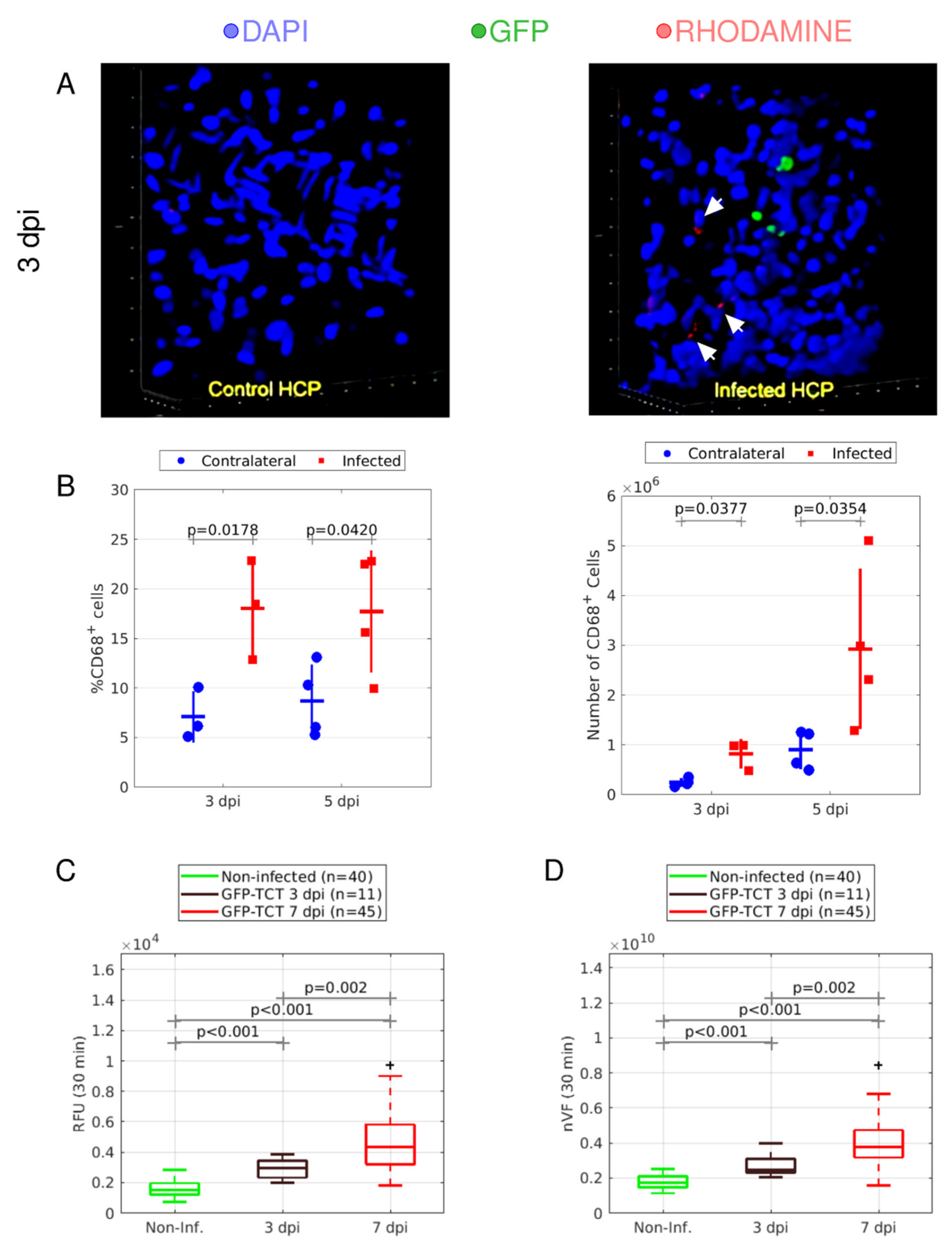 Pathogens 11 00187 g006 Pathogens 11 00187 g006