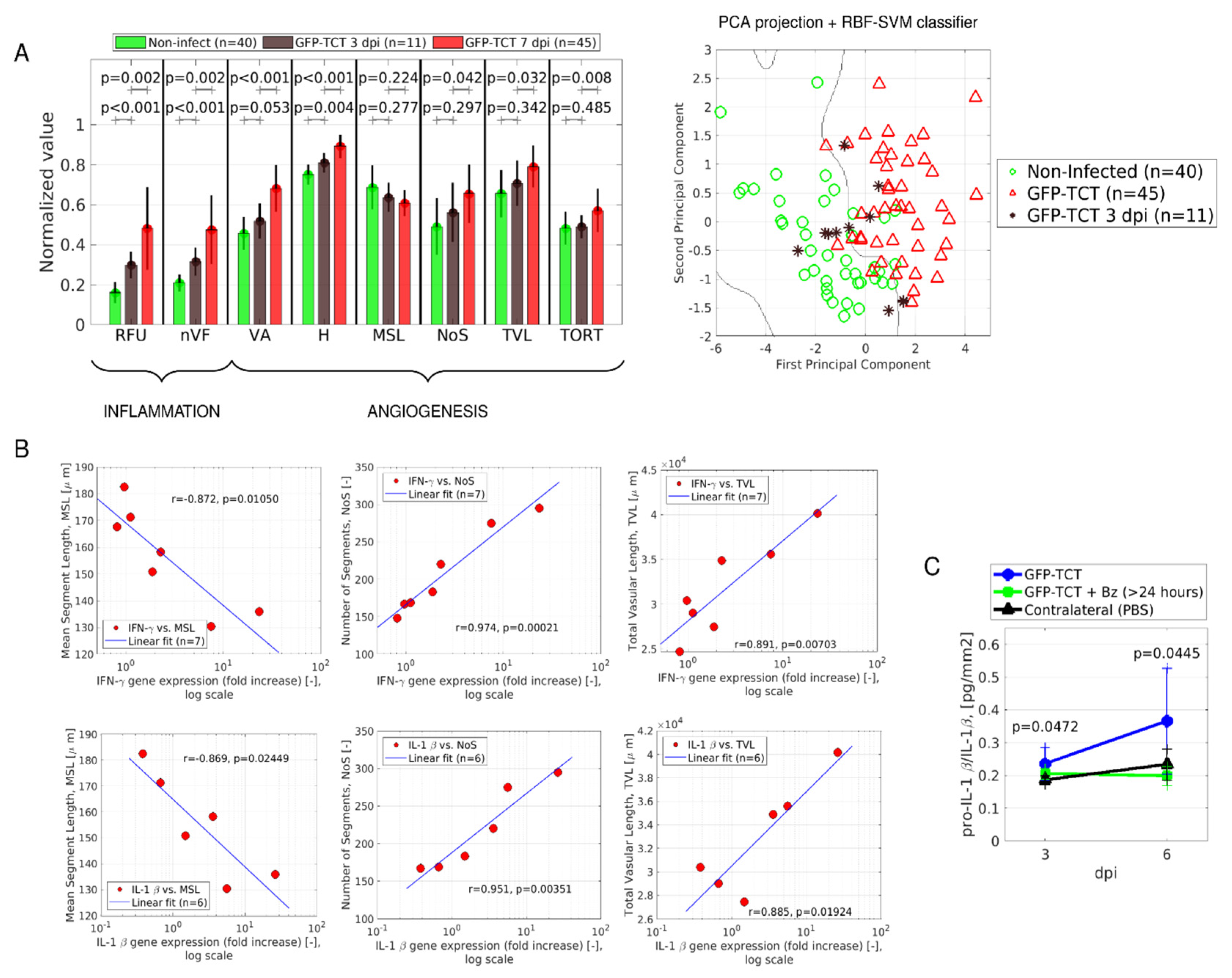 Pathogens 11 00187 g007 Pathogens 11 00187 g007
