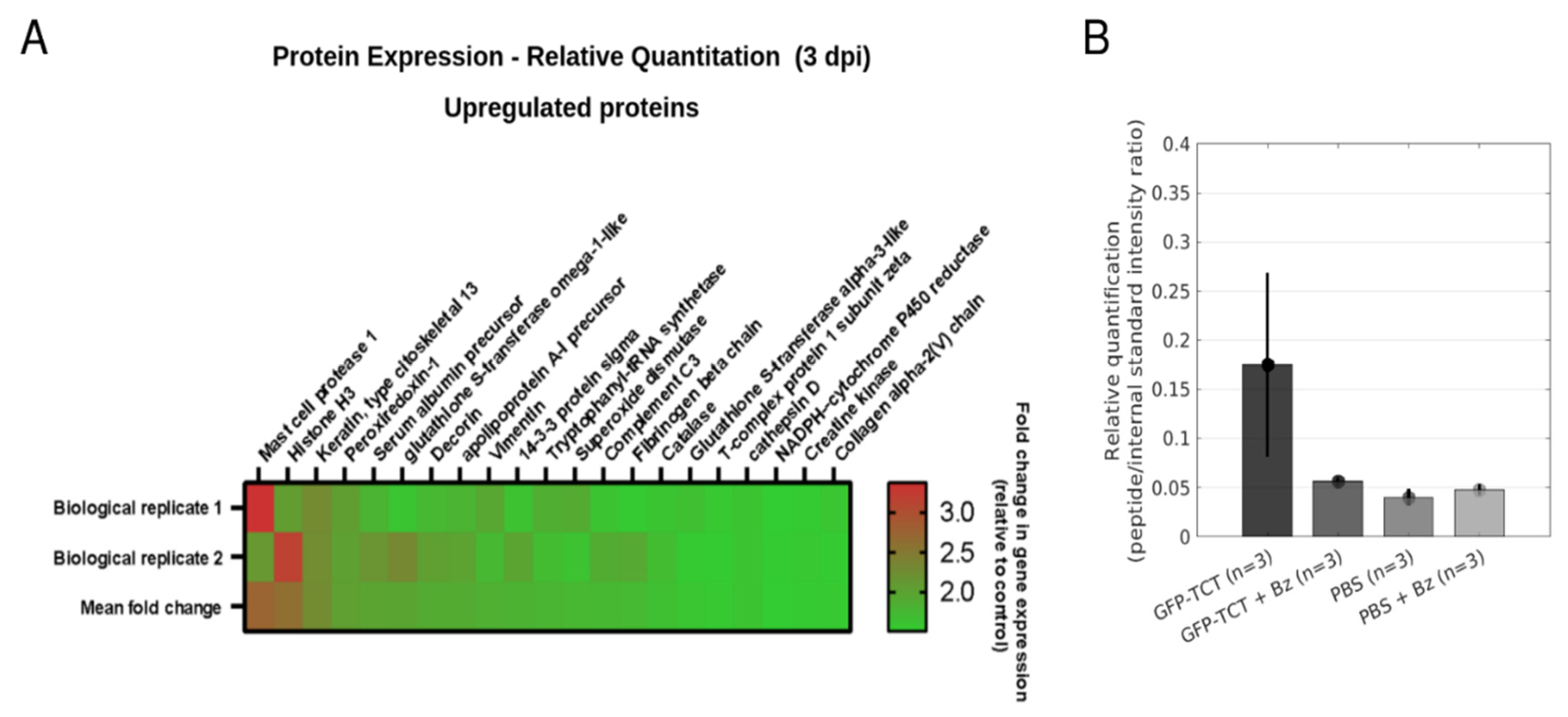 Pathogens 11 00187 g008 Pathogens 11 00187 g008
