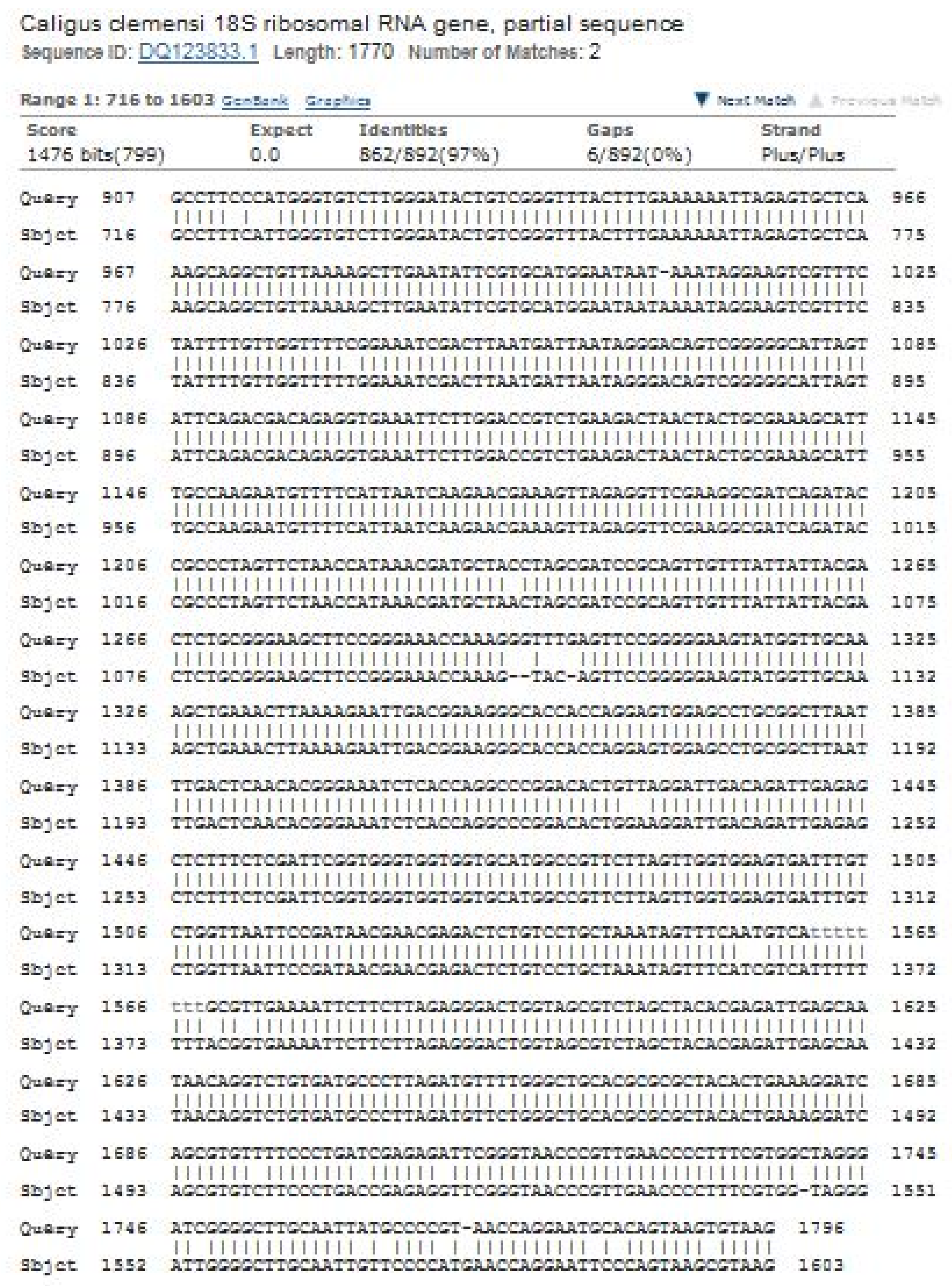 Pathogens 11 00188 g005