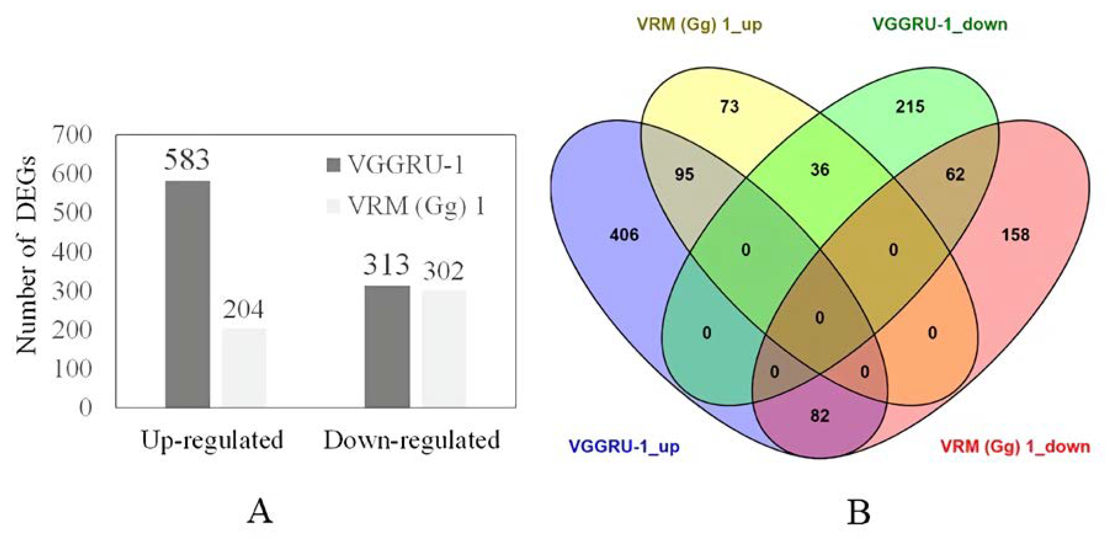 Pathogens 11 00190 g002