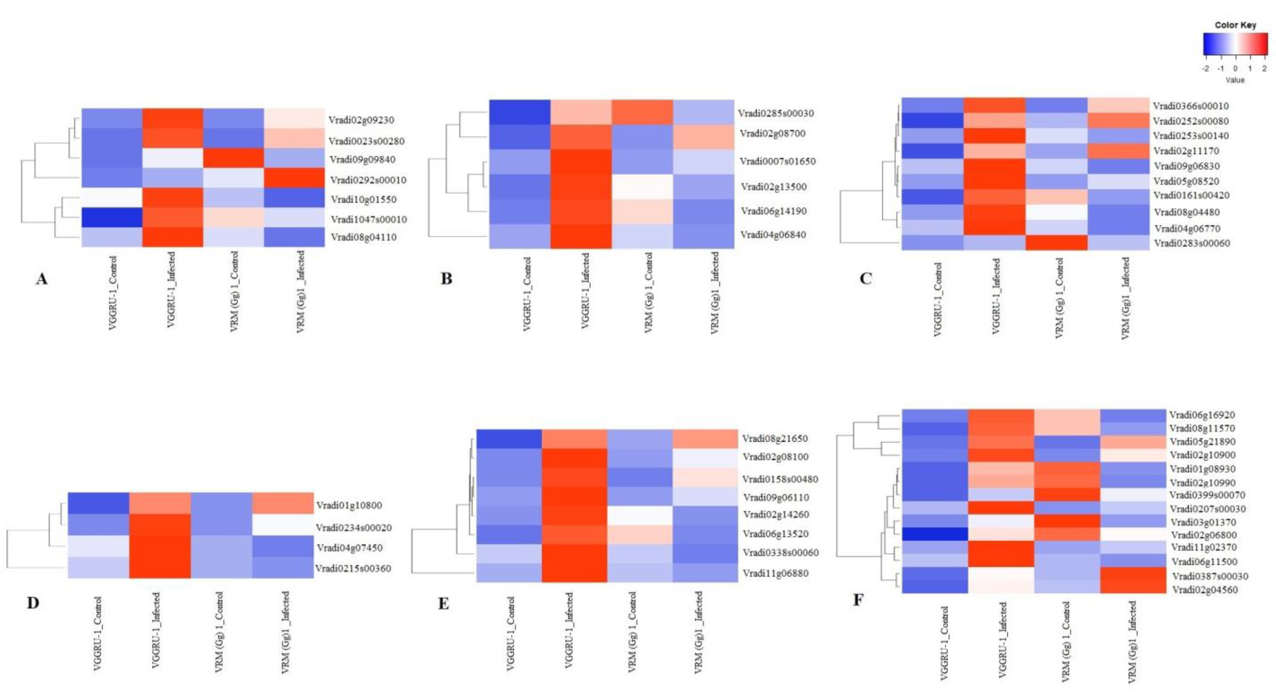 Pathogens 11 00190 g004