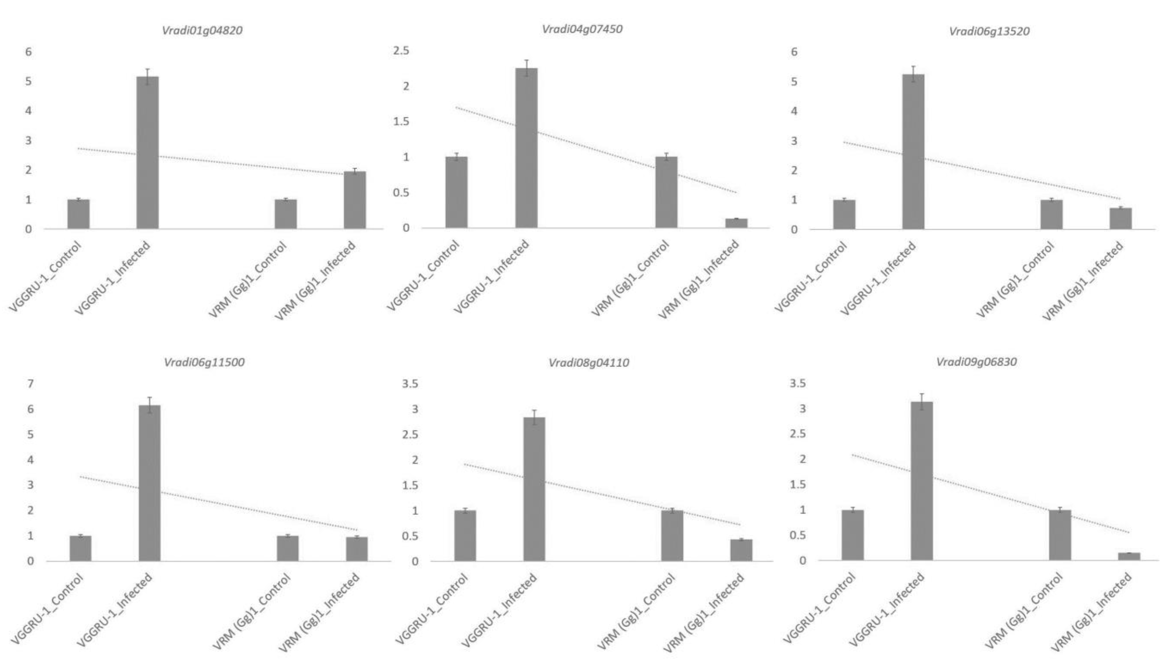 Pathogens 11 00190 g005