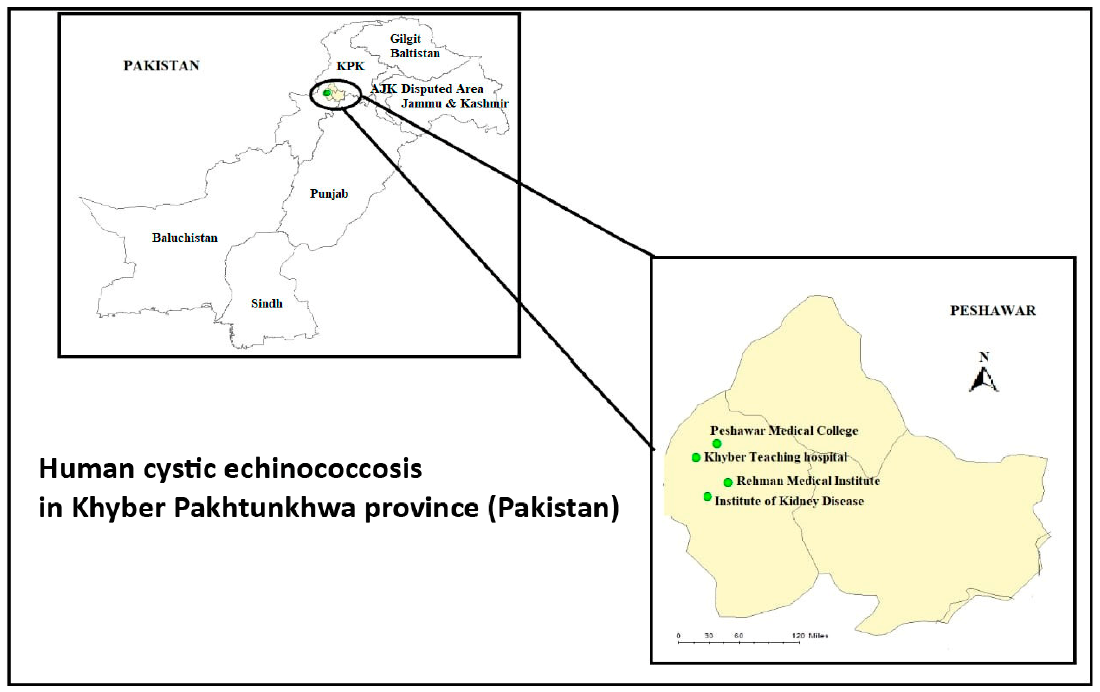Pathogens 11 00194 g001 550