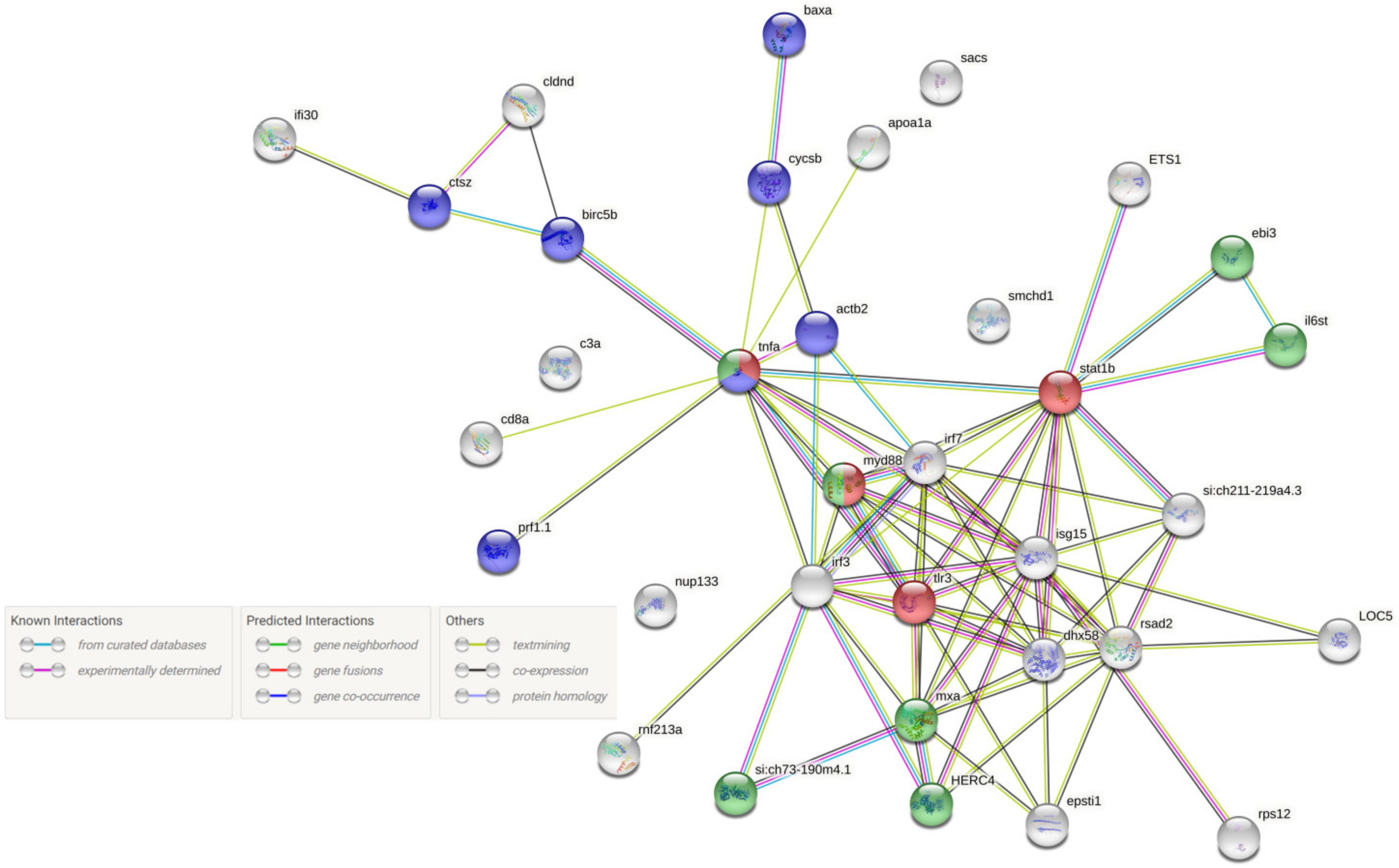 Pathogens 11 00201 g003