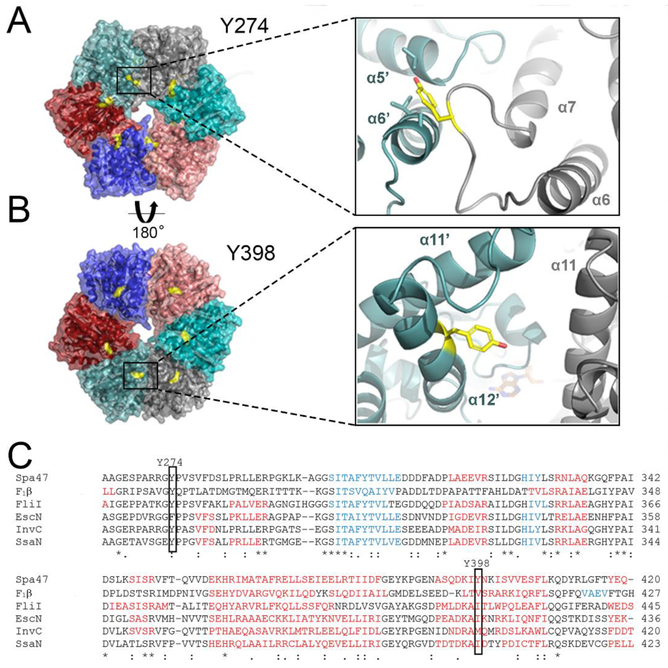 Pathogens 11 00202 g001 Pathogens 11 00202 g001