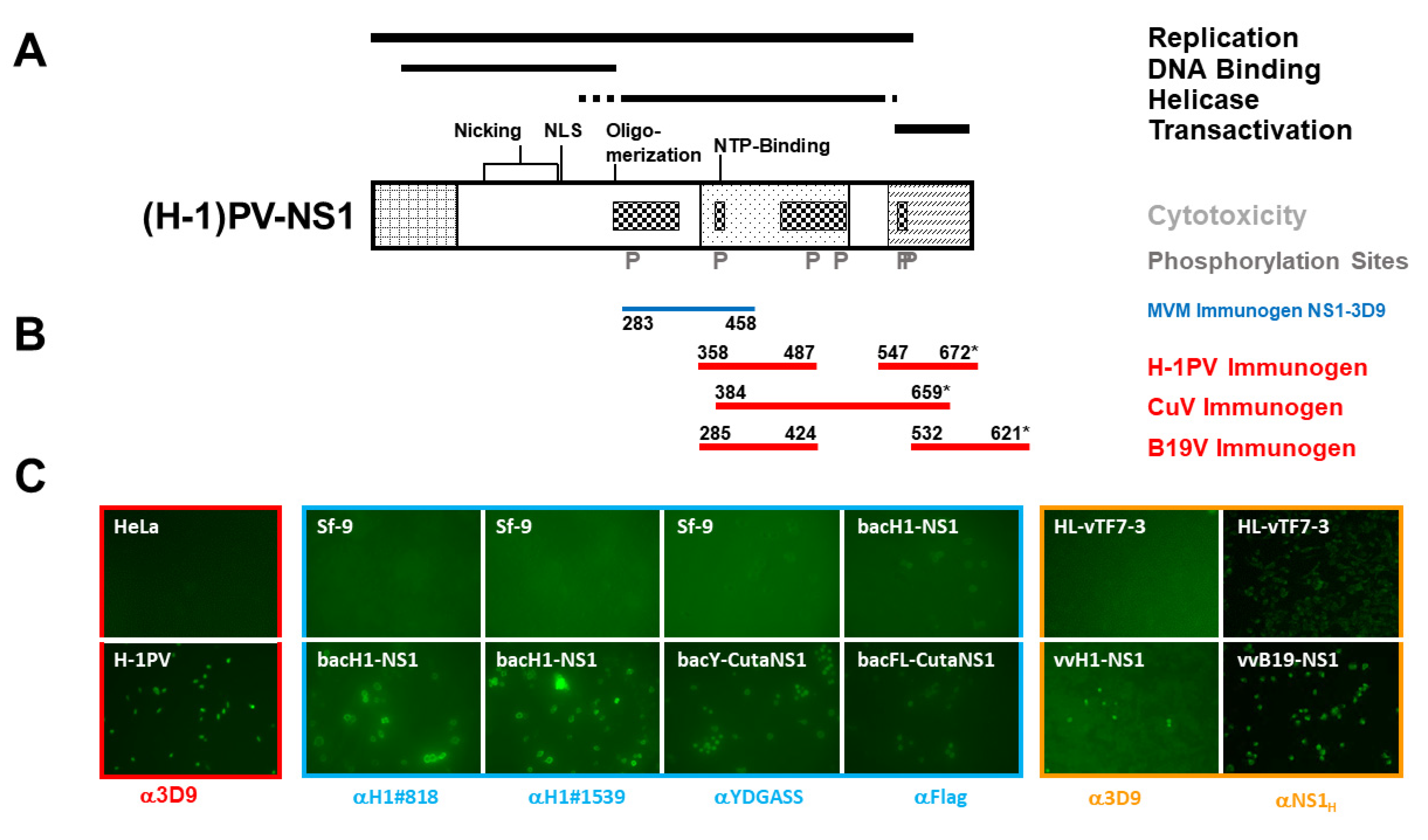Pathogens 11 00208 g001 550
