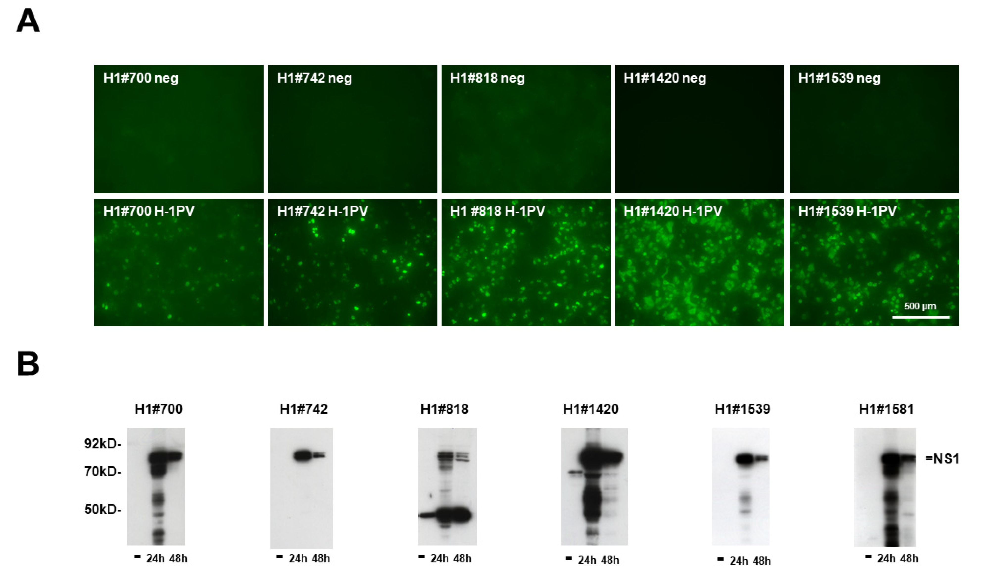 Pathogens 11 00208 g002 550