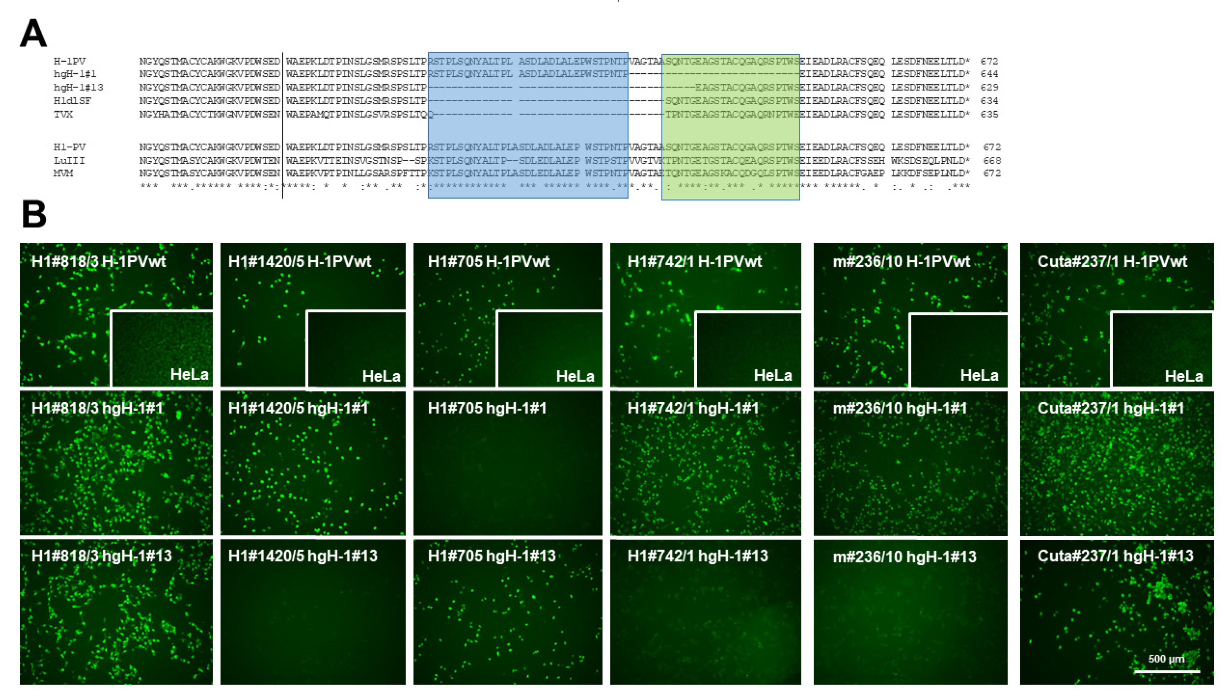 Pathogens 11 00208 g006 550