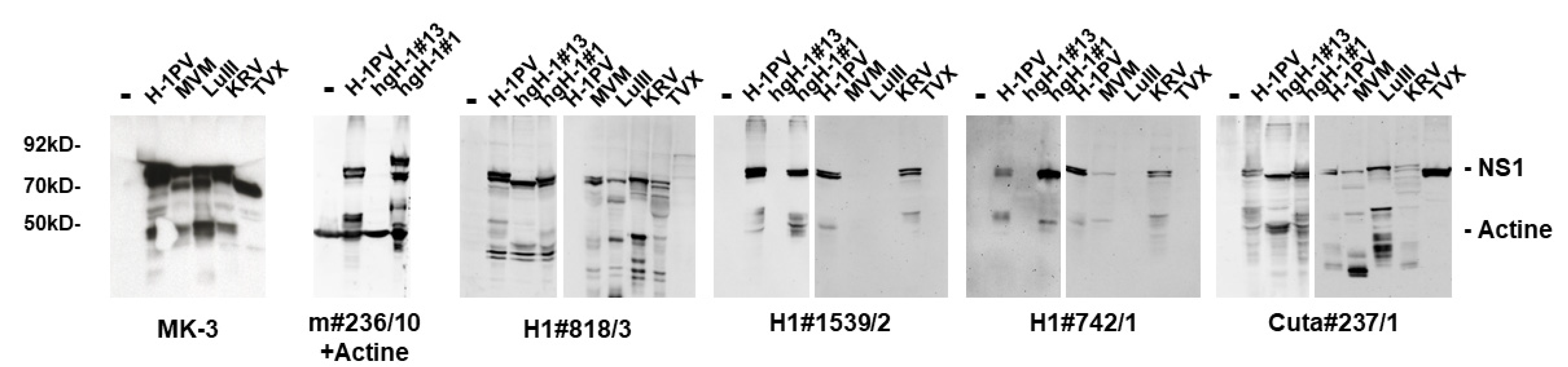 Pathogens 11 00208 g007 550