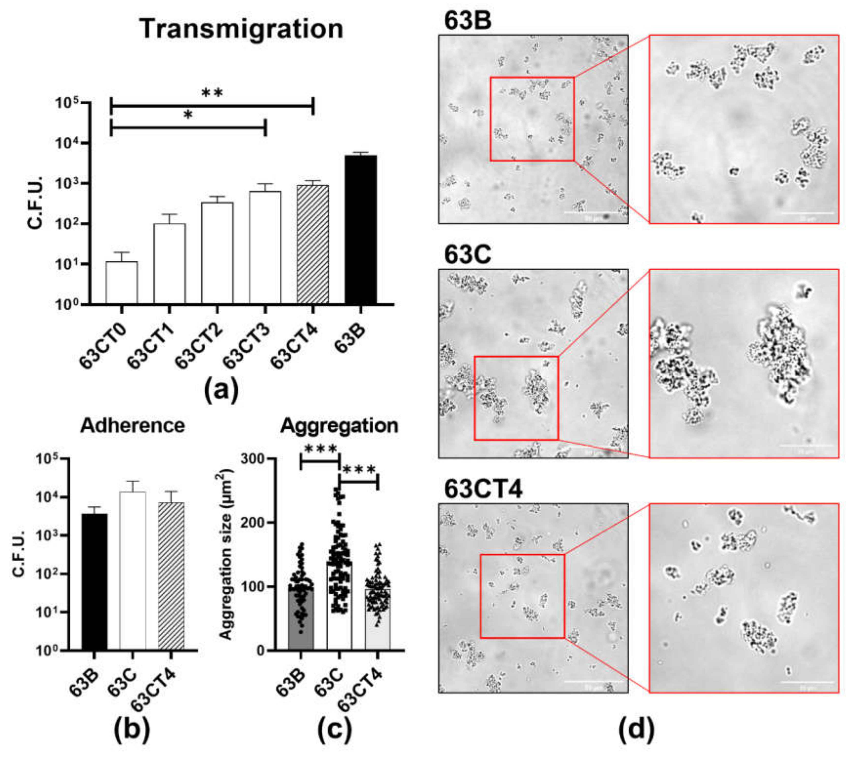 Pathogens 11 00217 g004