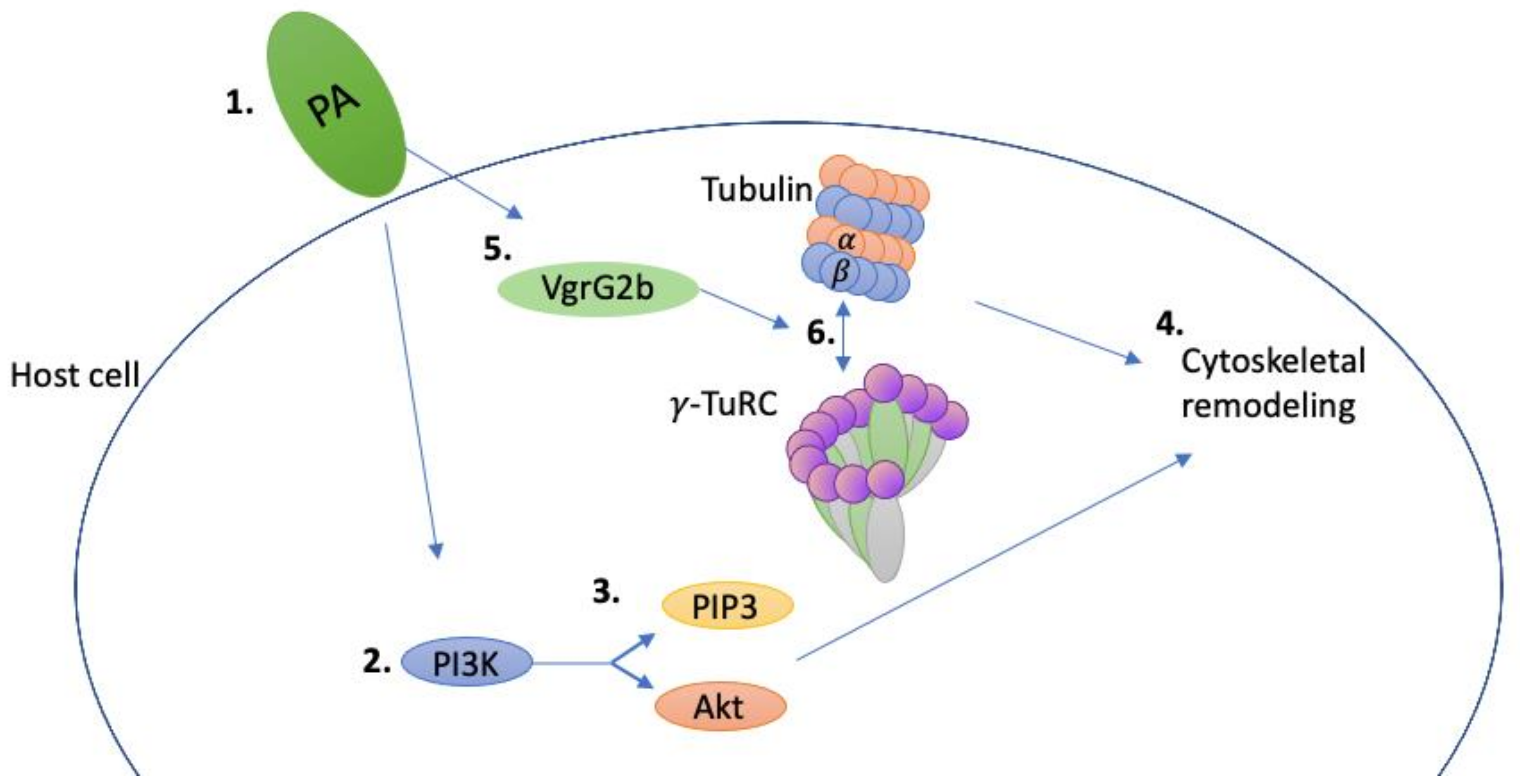 Pathogens 11 00220 g001