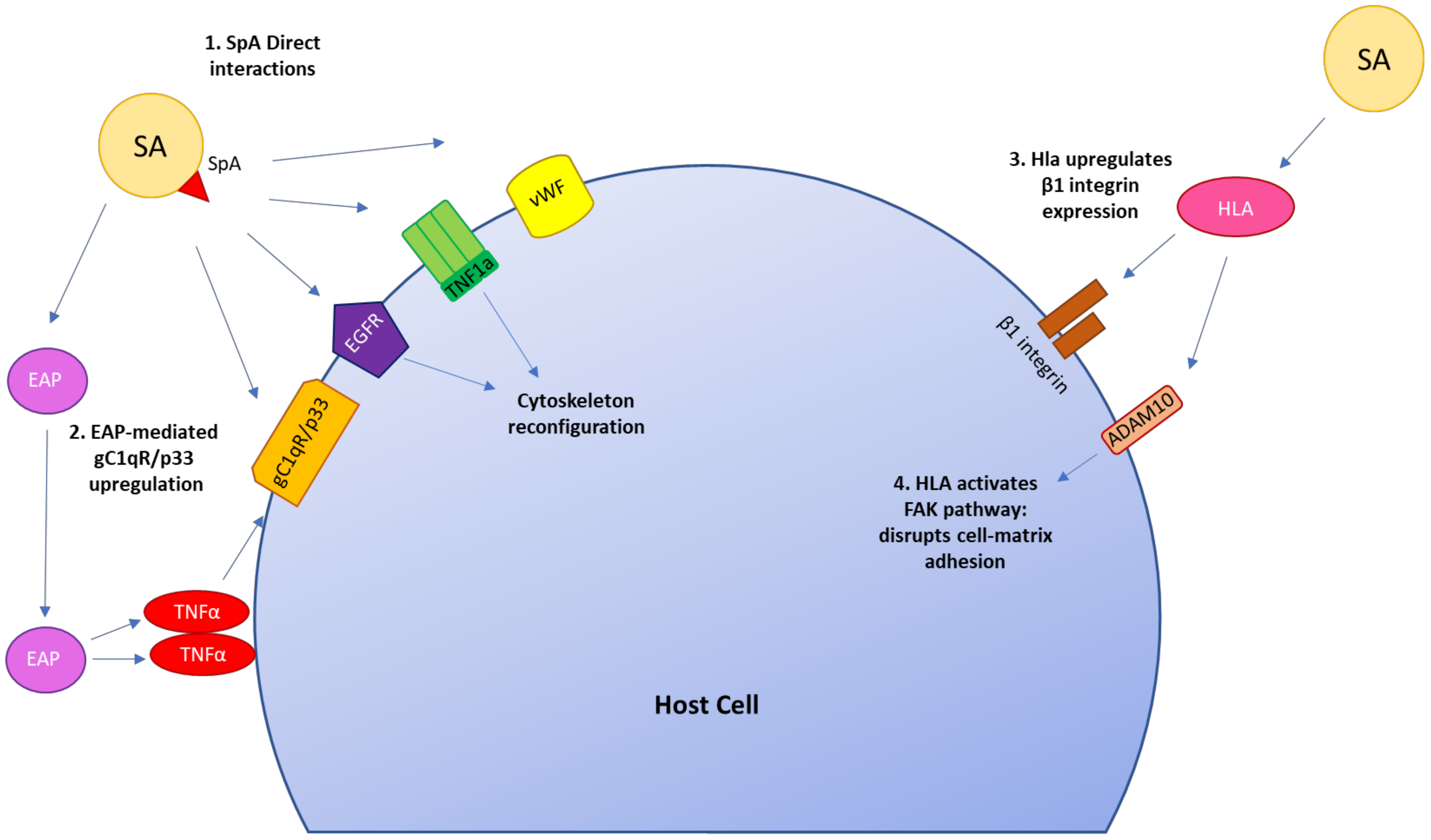 Pathogens 11 00220 g003