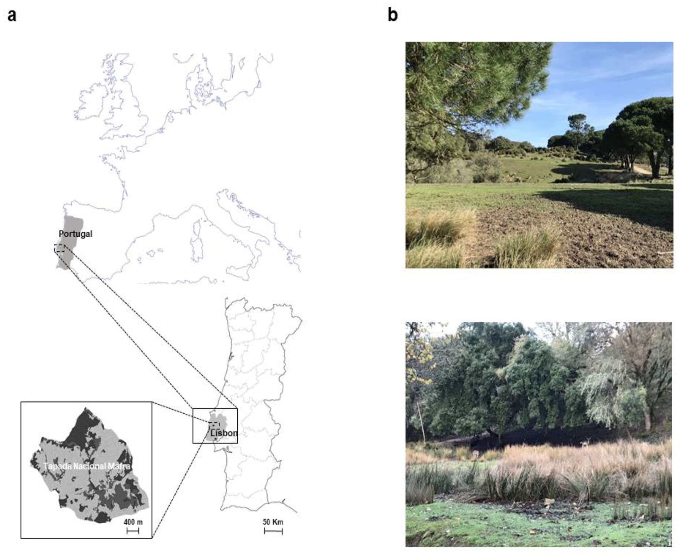 Pathogens 11 00222 g001 Pathogens 11 00222 g001