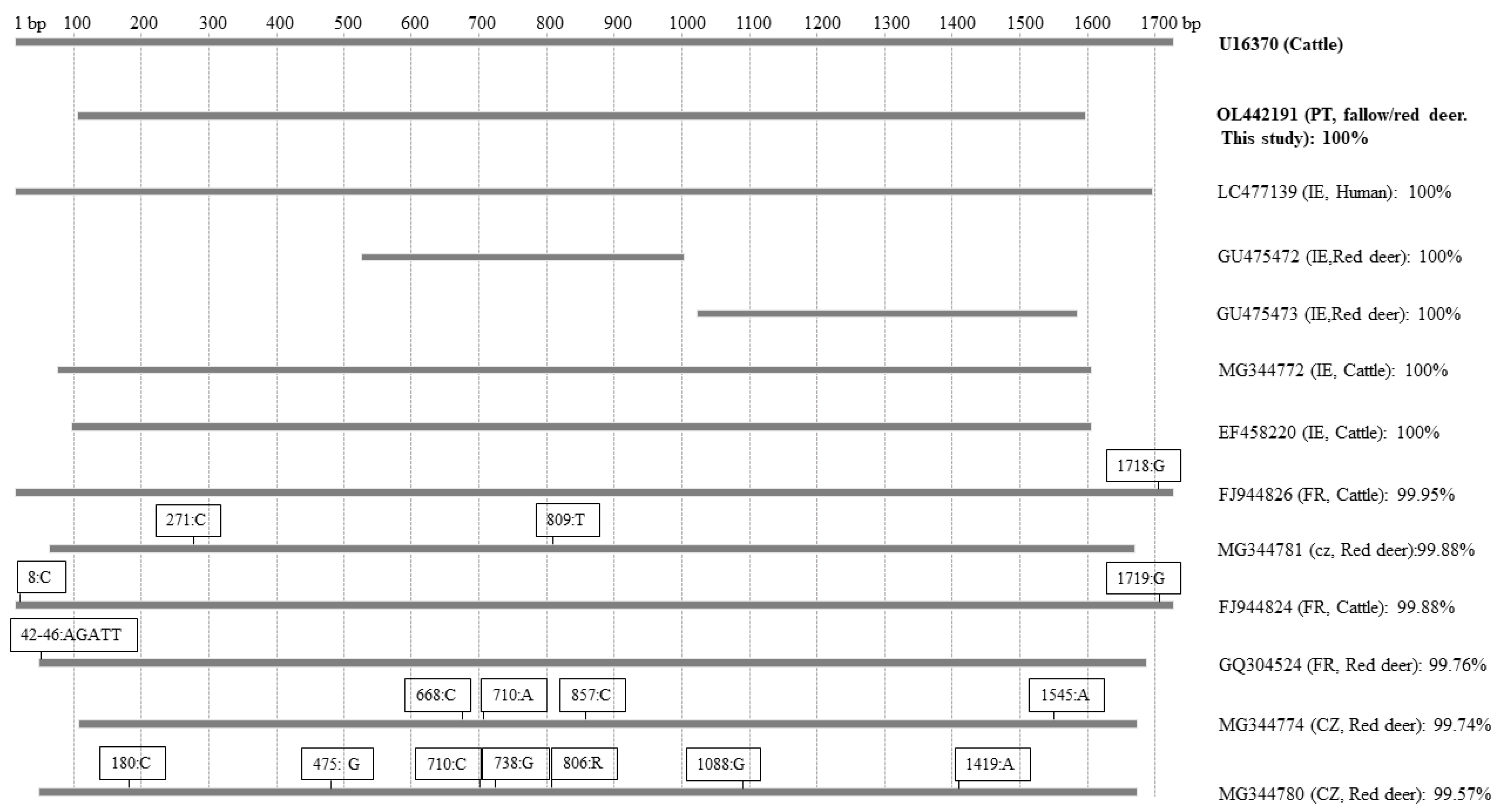 Pathogens 11 00222 g002 Pathogens 11 00222 g002