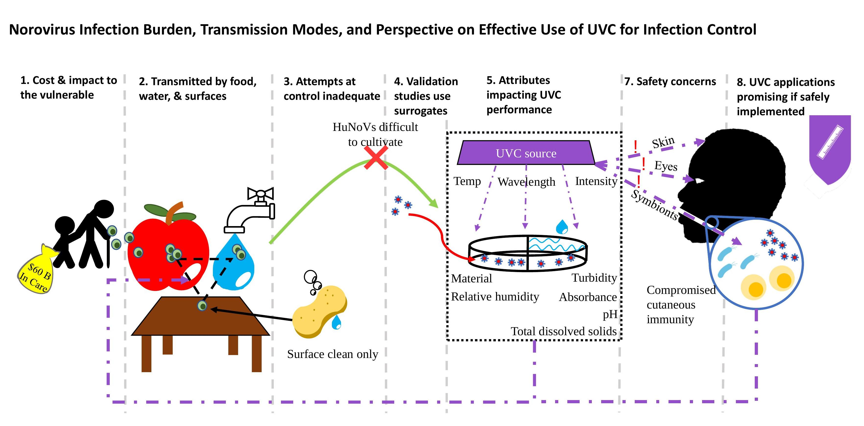 pathogens-free-full-text-illuminating-human-norovirus-a