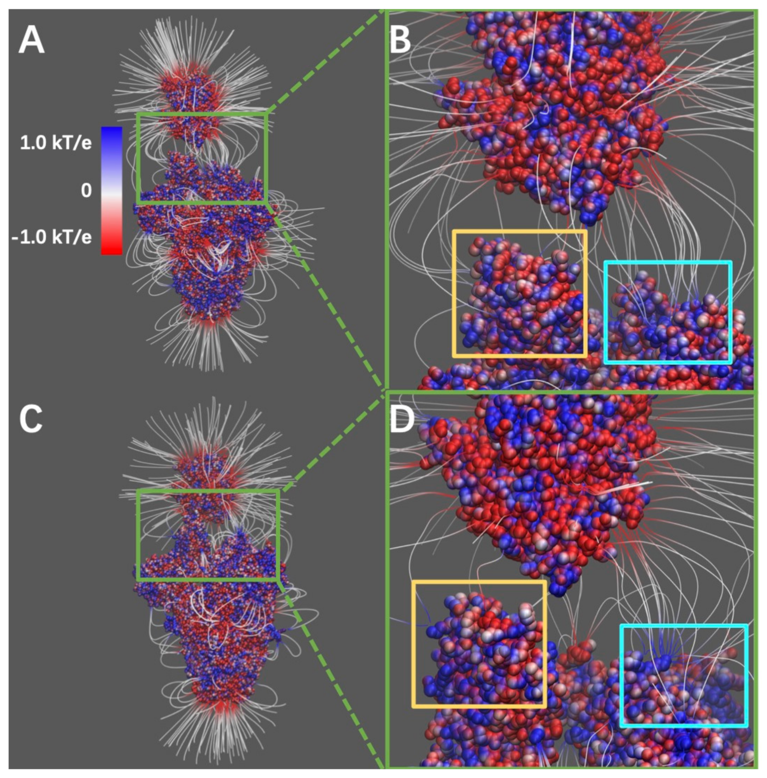 Pathogens 11 00238 g003