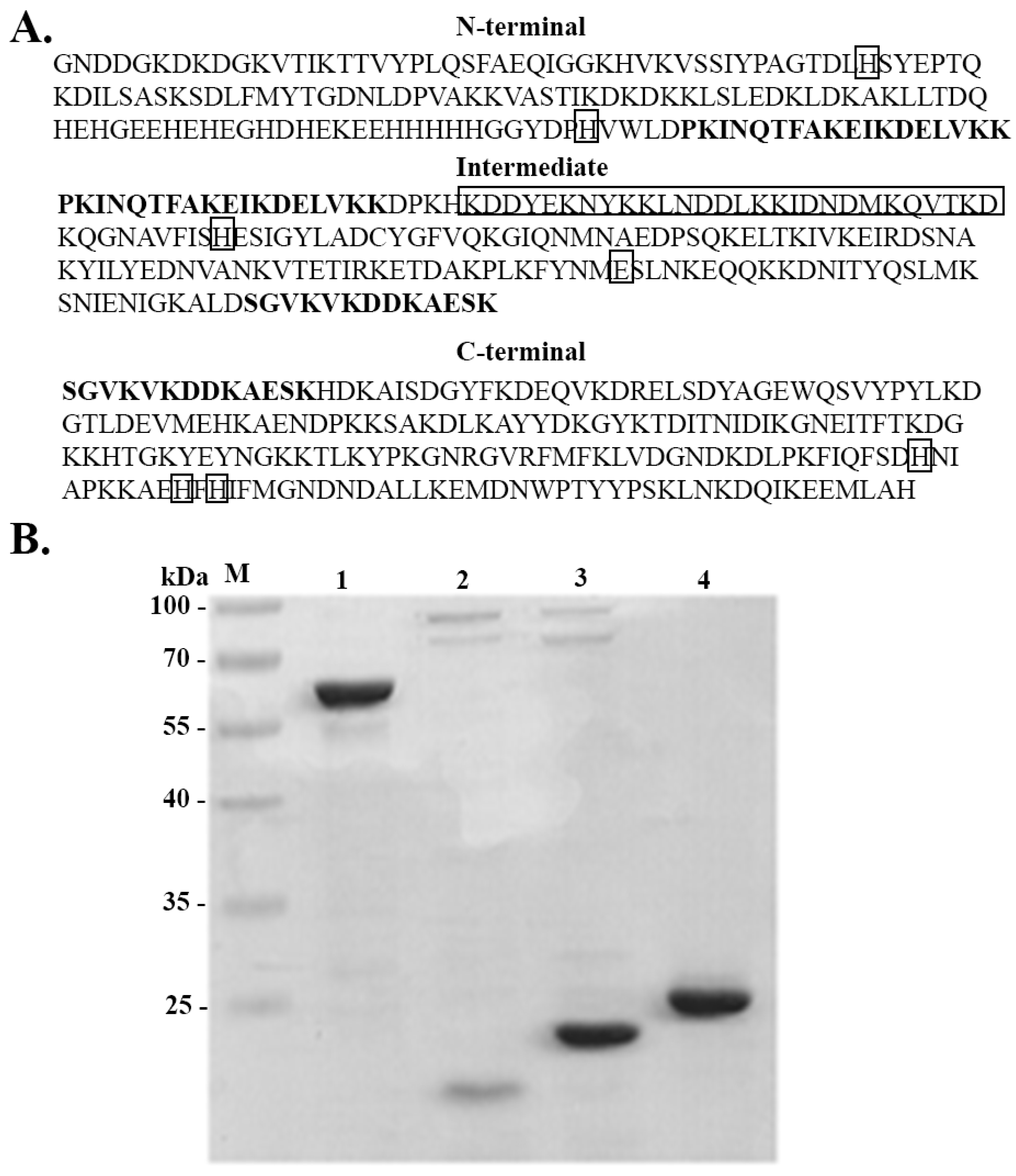 Pathogens 11 00240 g001 550