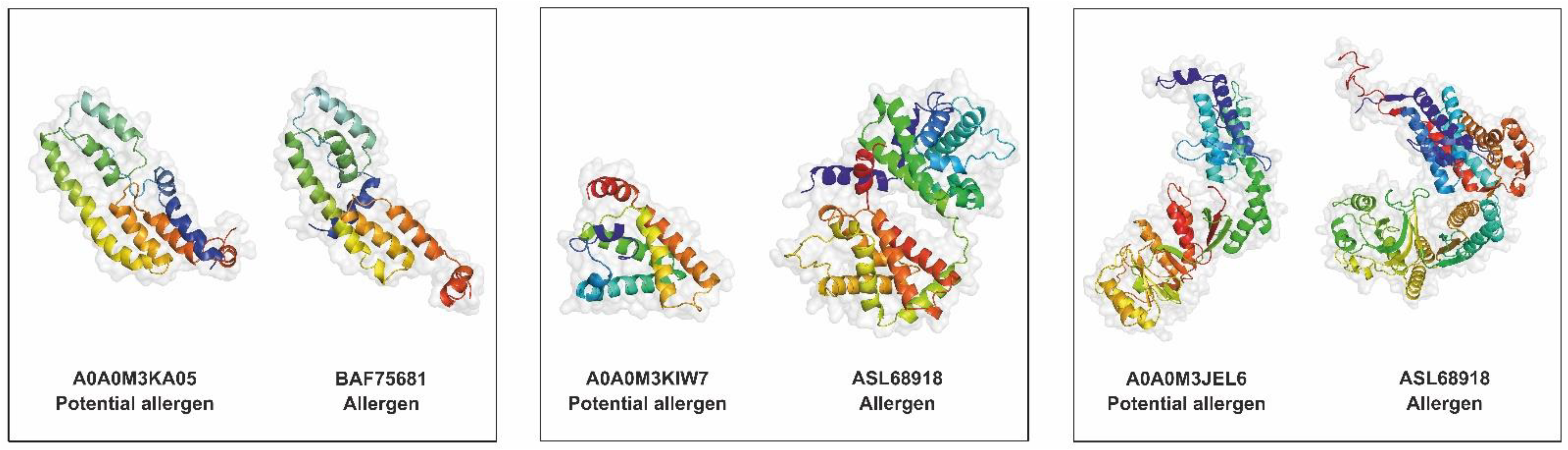 Pathogens 11 00246 g007 Pathogens 11 00246 g007